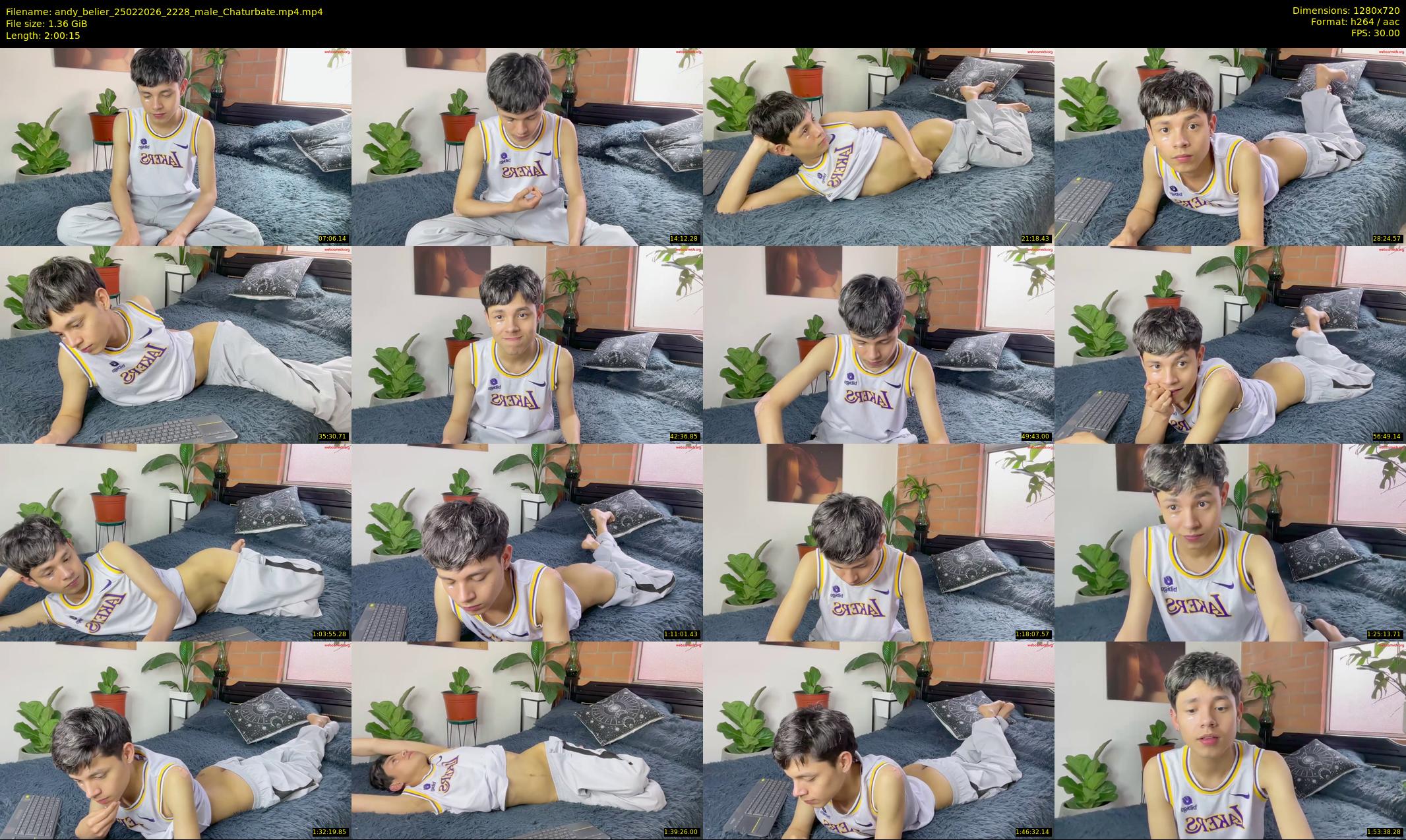 andy_belier — 121 minute Chaturbate male cam show recording, 720p, Feb 25, 2026