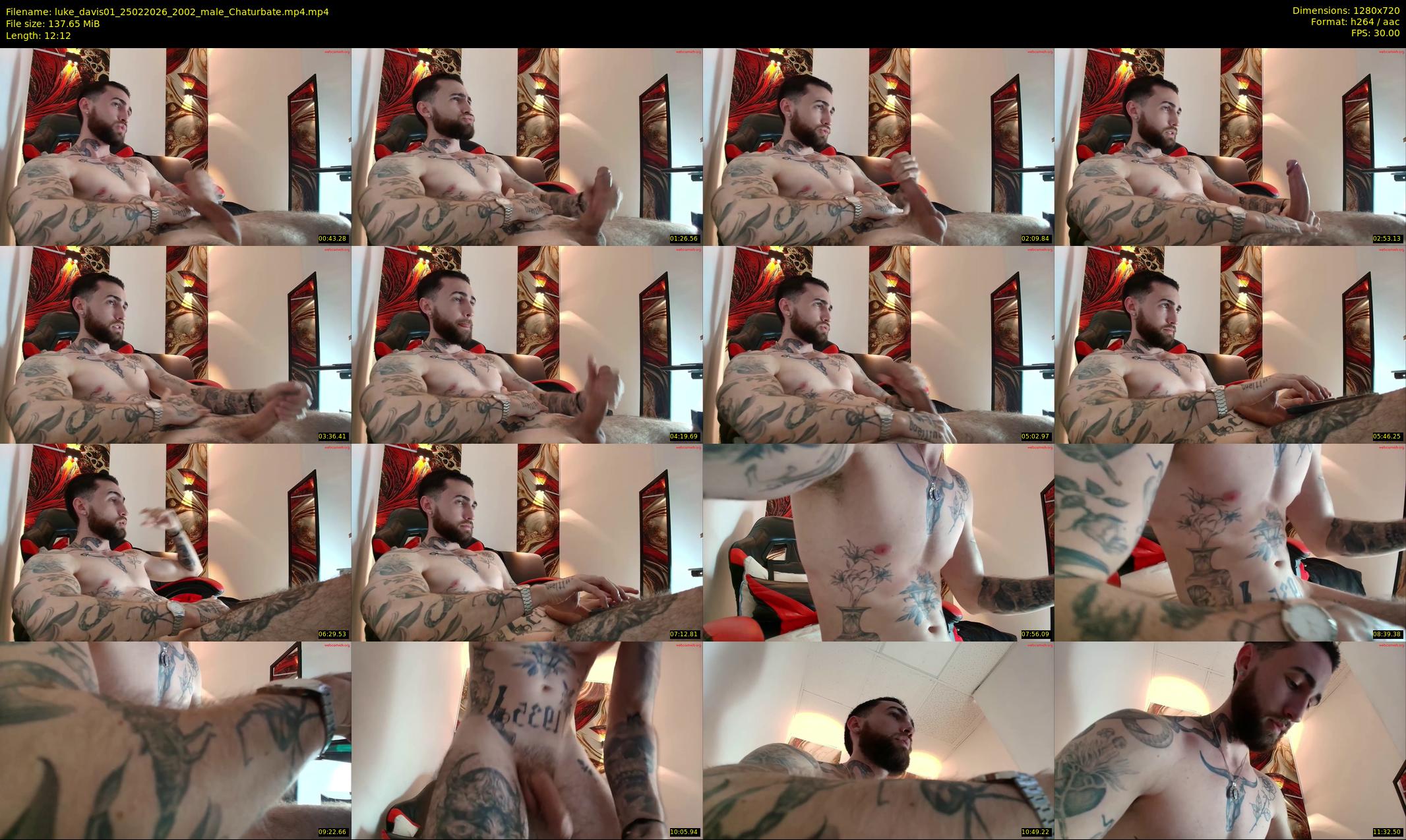 luke_davis01 — 13 minute Chaturbate male cam show recording, 720p, Feb 25, 2026
