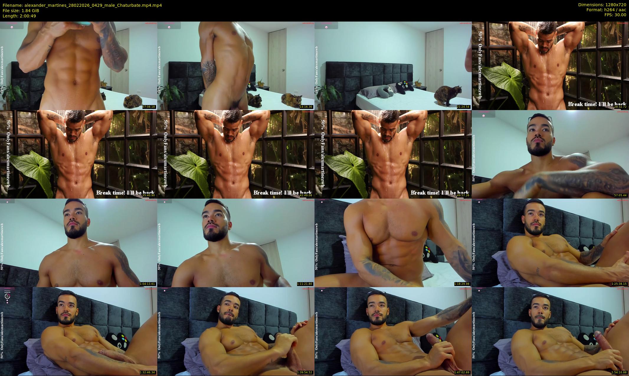 alexander_martines — 121 minute Chaturbate male cam show recording, 720p, Feb 28, 2026