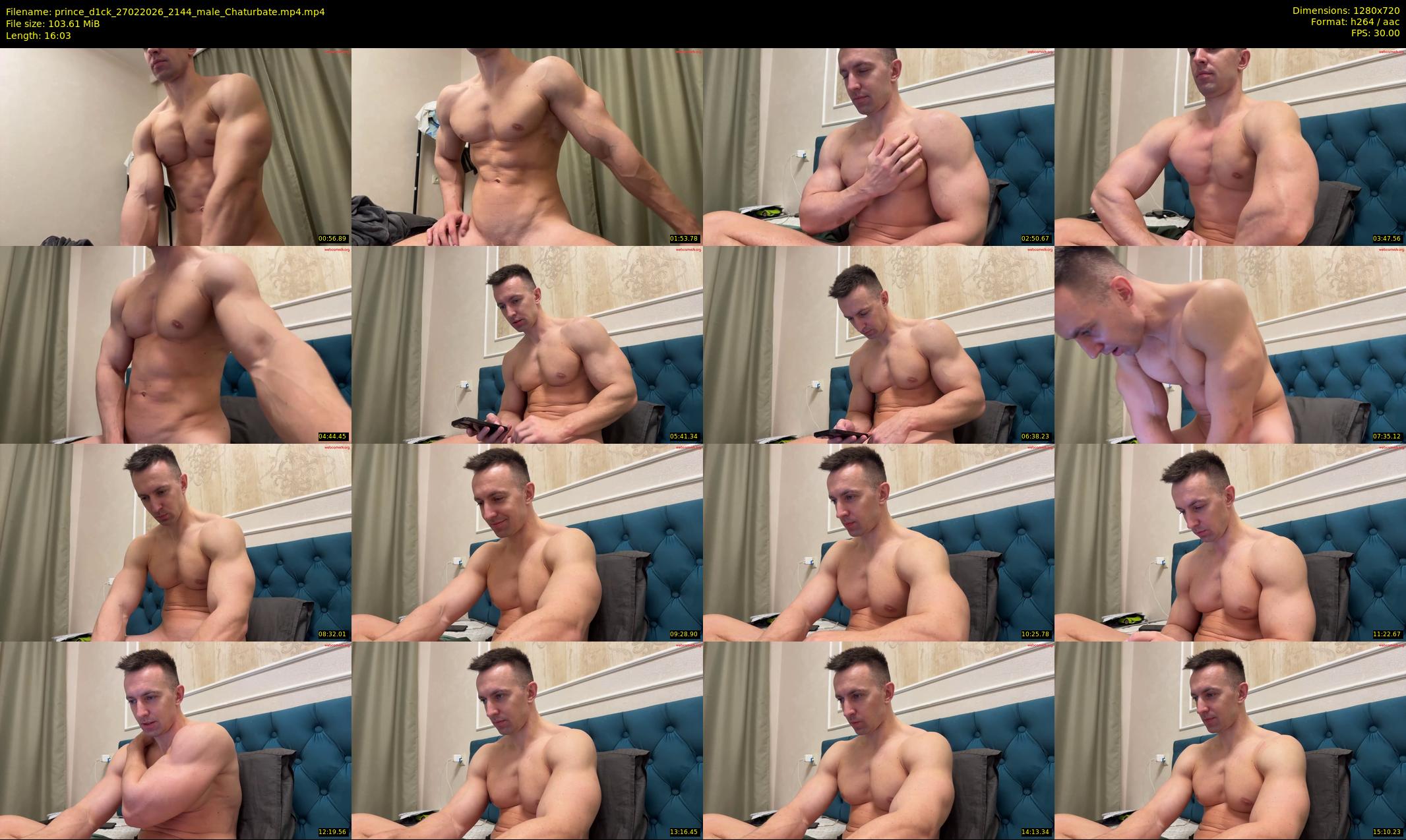 prince_d1ck — 17 minute Chaturbate male cam show recording, 720p, Feb 27, 2026