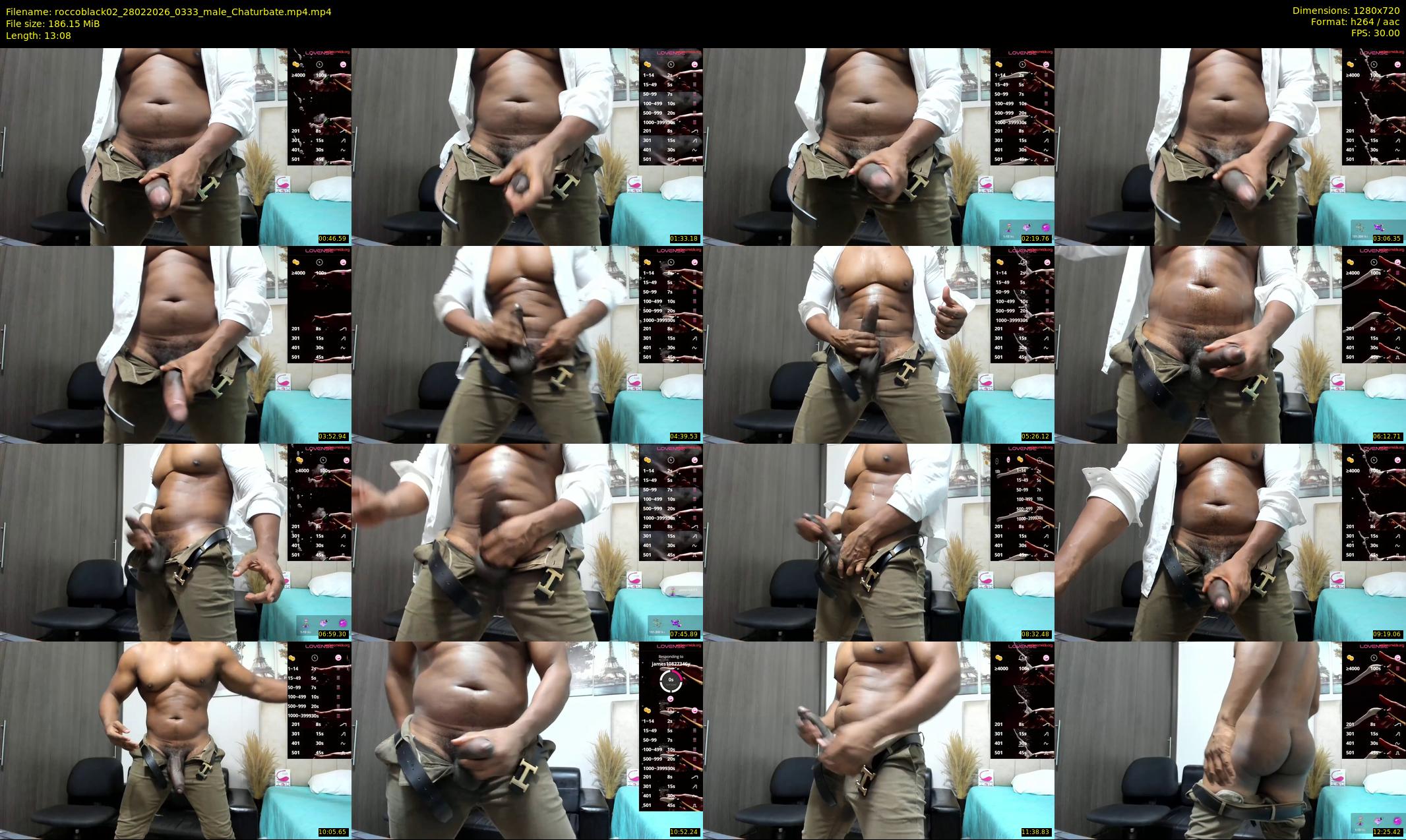 roccoblack02 — 14 minute Chaturbate male cam show recording, 720p, Feb 28, 2026
