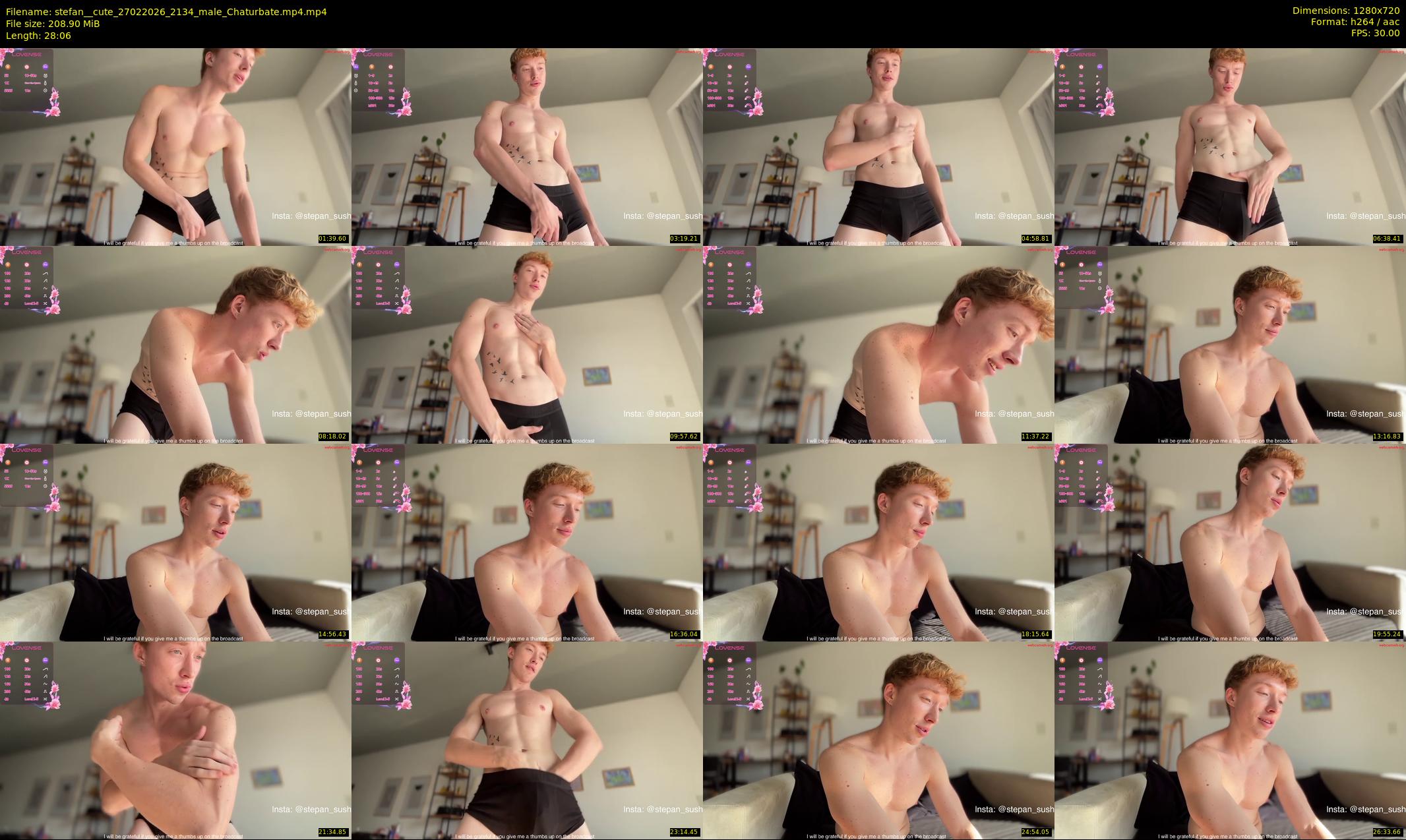 stefan__cute — 29 minute Chaturbate male cam show recording, 720p, Feb 27, 2026