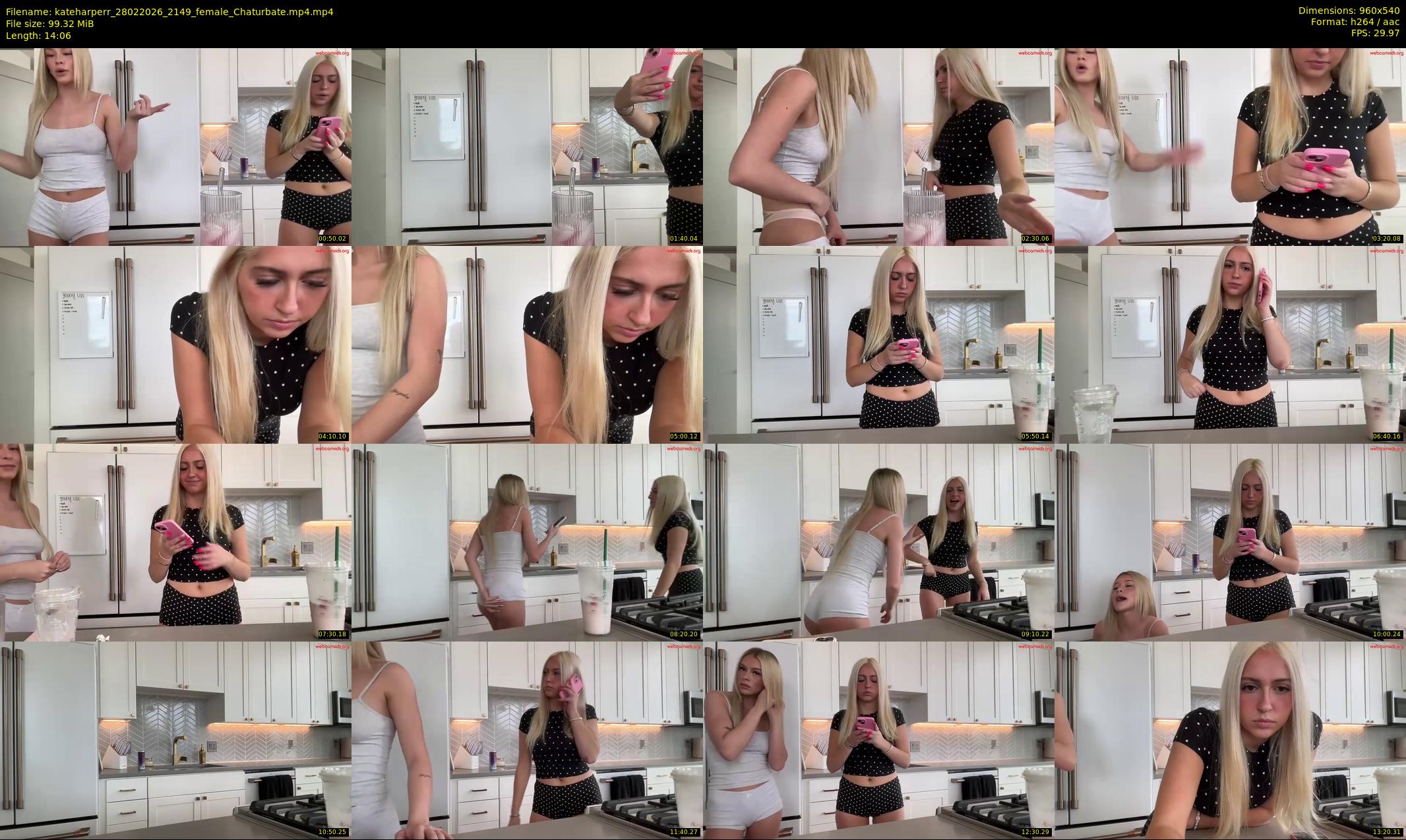 kateharperr — 15 minute Chaturbate female cam show recording, 480p, Feb 28, 2026