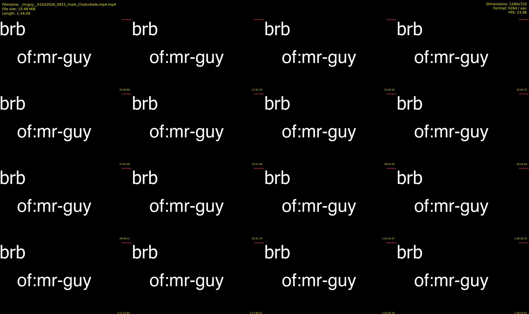 _mrguy_ — 95 minute Chaturbate male cam show recording, 720p, Mar 1, 2026