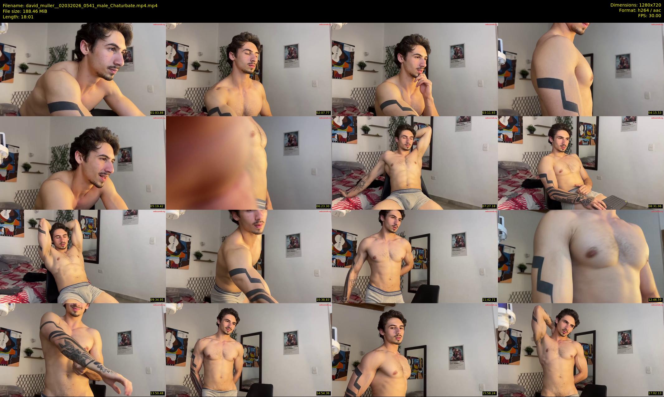 david_muller_ — 19 minute Chaturbate male cam show recording, 720p, Mar 2, 2026