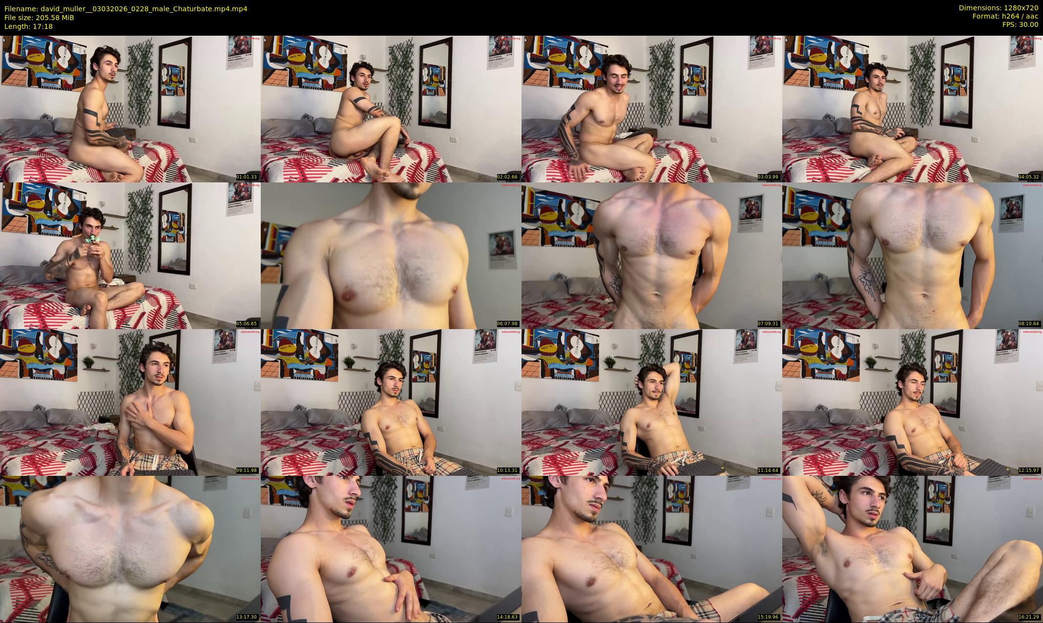 david_muller_ — 18 minute Chaturbate male cam show recording, 720p, Mar 3, 2026