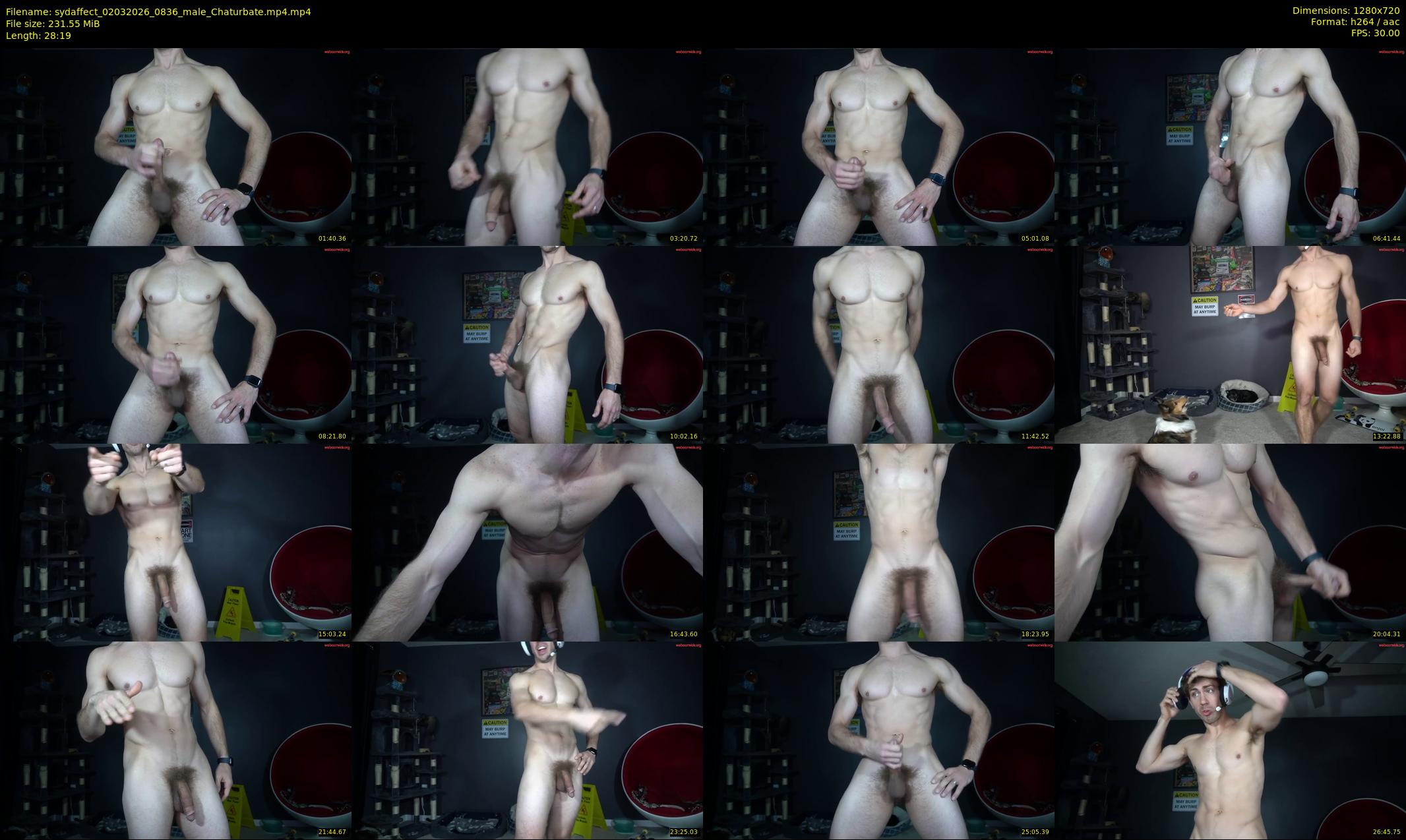 sydaffect — 29 minute Chaturbate male cam show recording, 720p, Mar 2, 2026