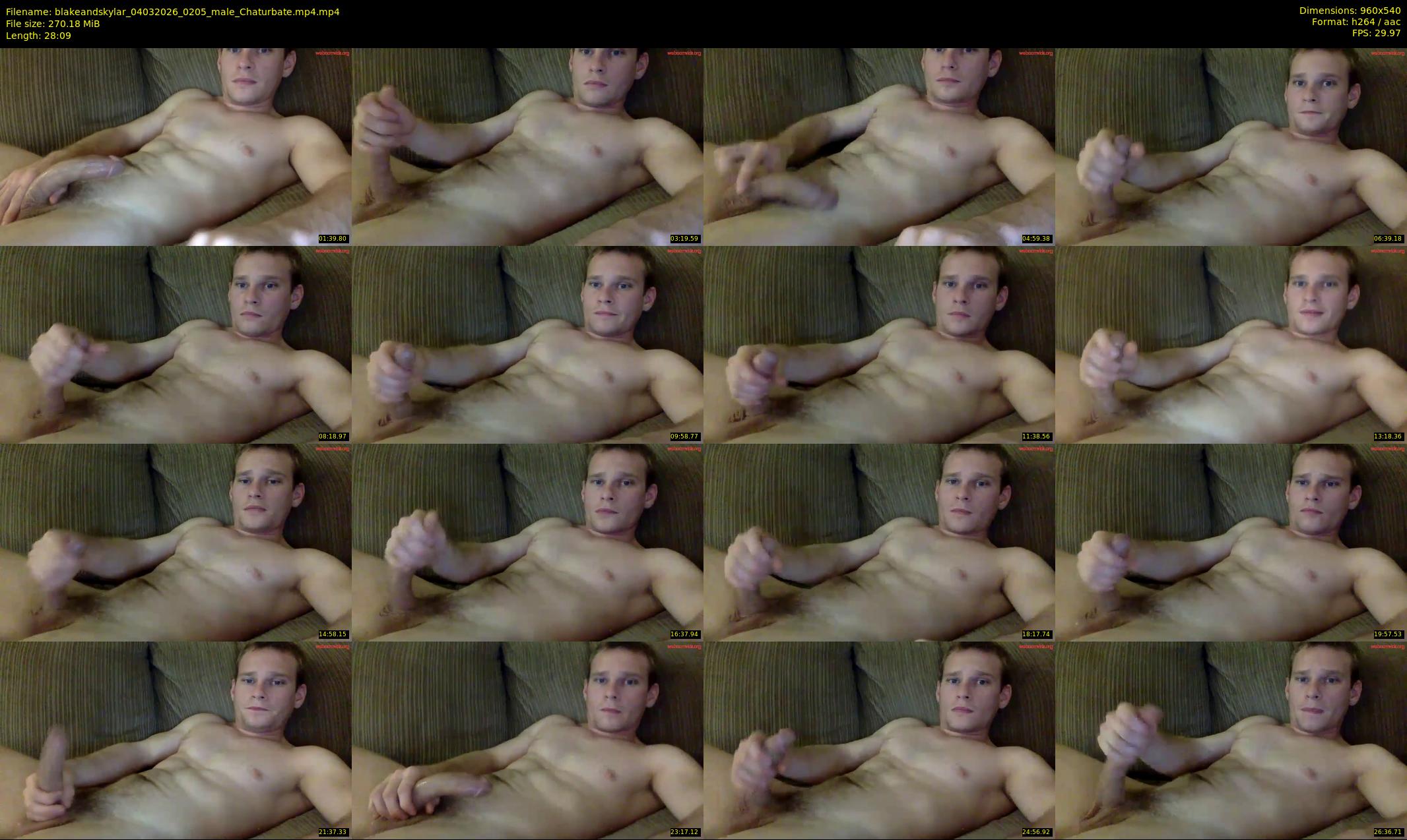 blakeandskylar — 29 minute Chaturbate couple cam show recording, 480p, Mar 4, 2026
