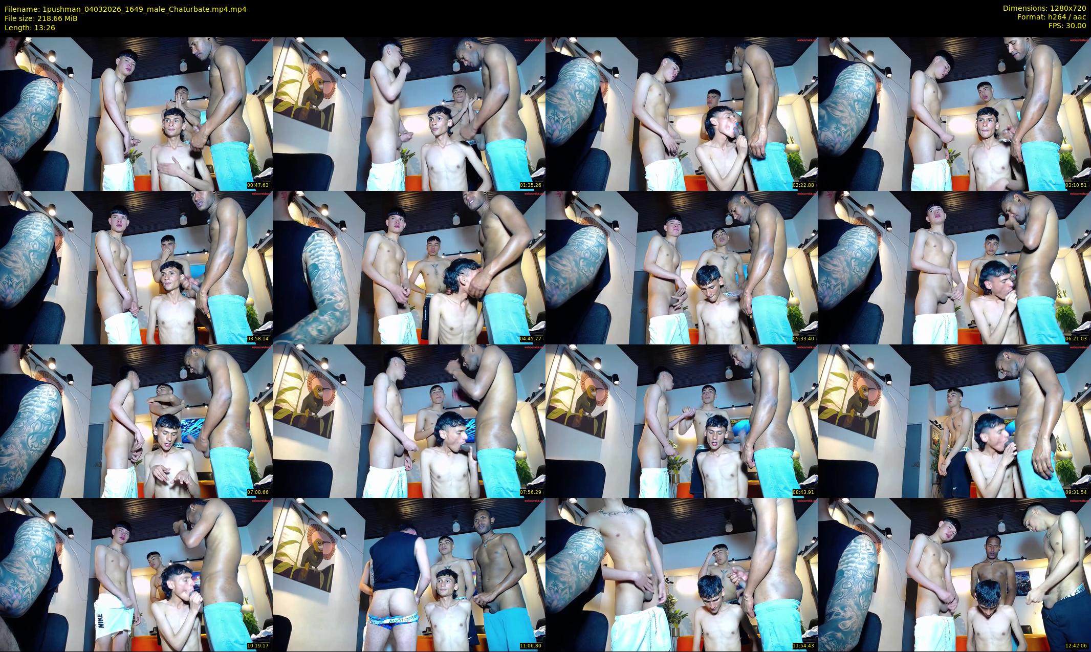 1pushman — 14 minute Chaturbate male cam show recording, 720p, Mar 4, 2026