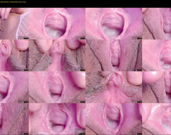 orchidekitty — 42 minute Chaturbate female cam show recording, 720p, Mar 5, 2026