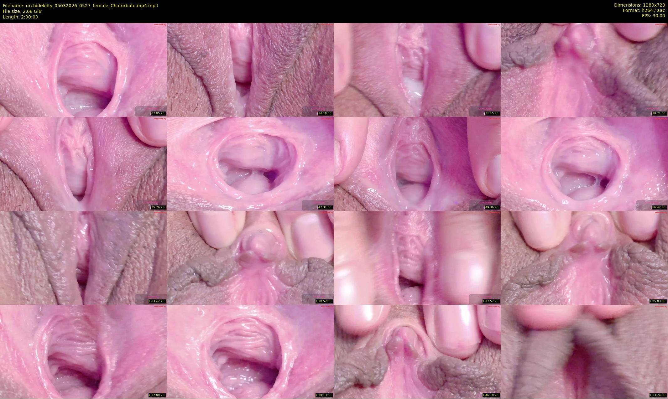 orchidekitty — 120 minute Chaturbate female cam show recording, 720p, Mar 5, 2026