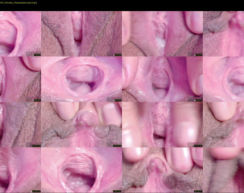 orchidekitty — 120 minute Chaturbate female cam show recording, 720p, Mar 5, 2026