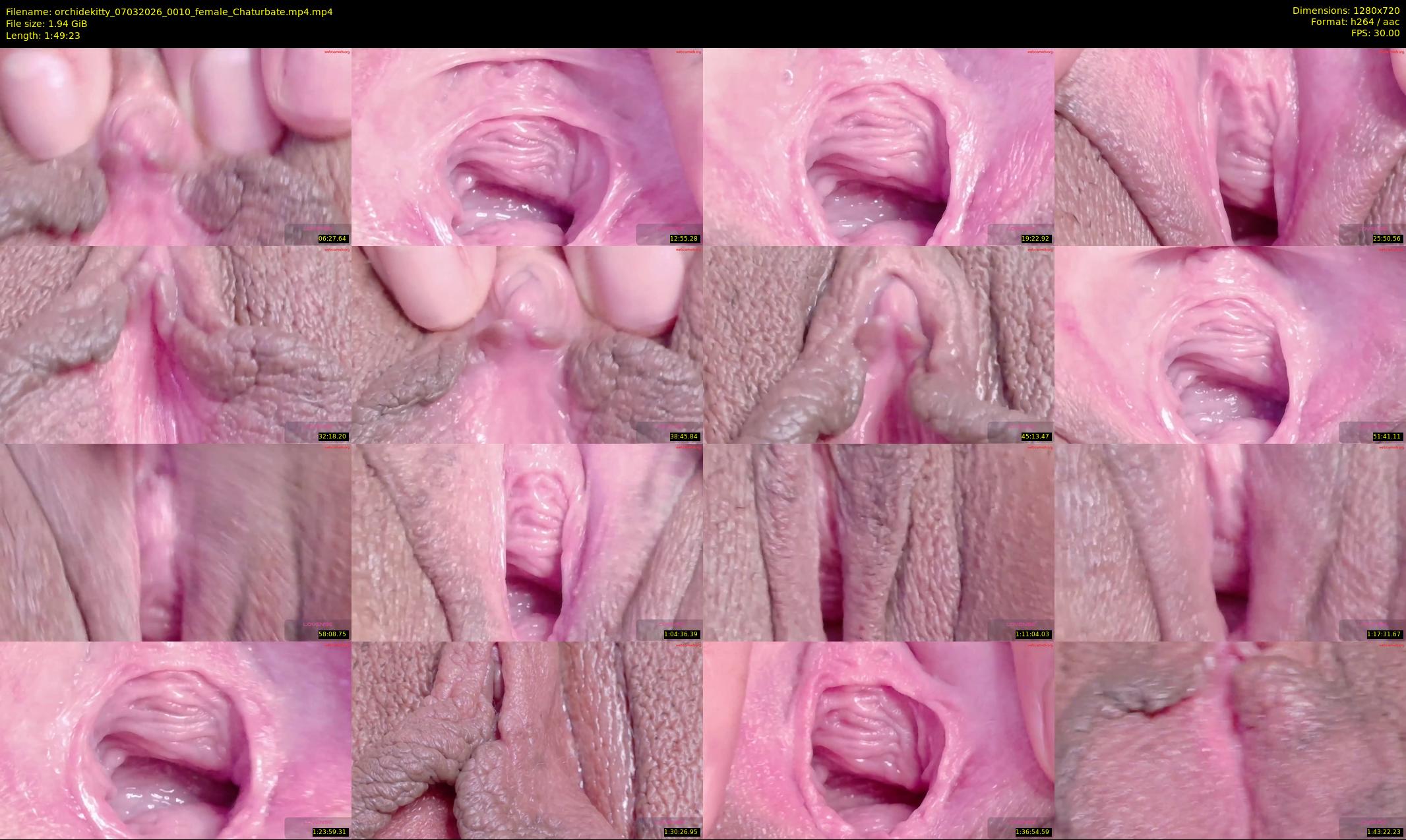 orchidekitty — 110 minute Chaturbate female cam show recording, 720p, Mar 7, 2026
