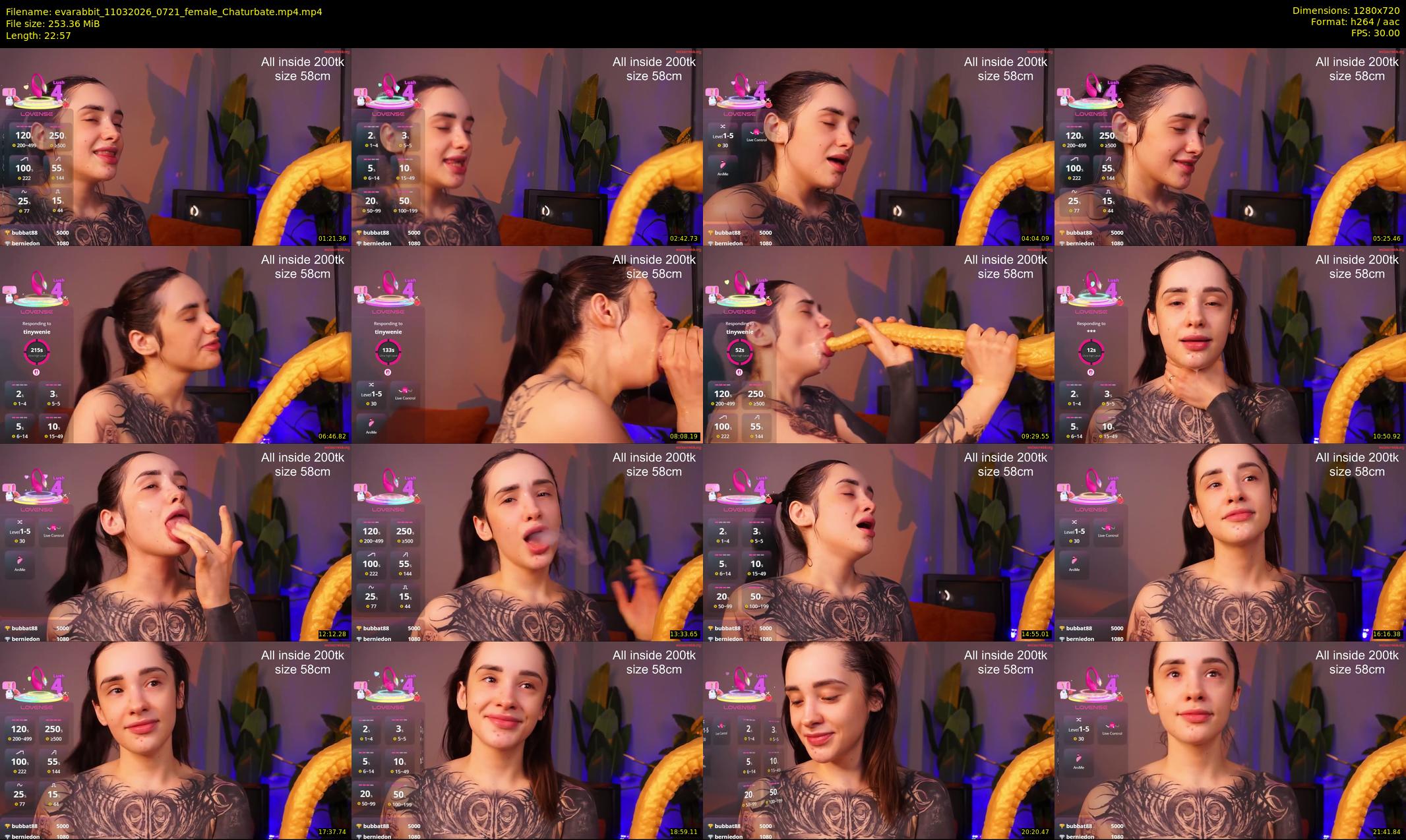 evarabbit — 23 minute Chaturbate female cam show recording, 720p, Mar 11, 2026