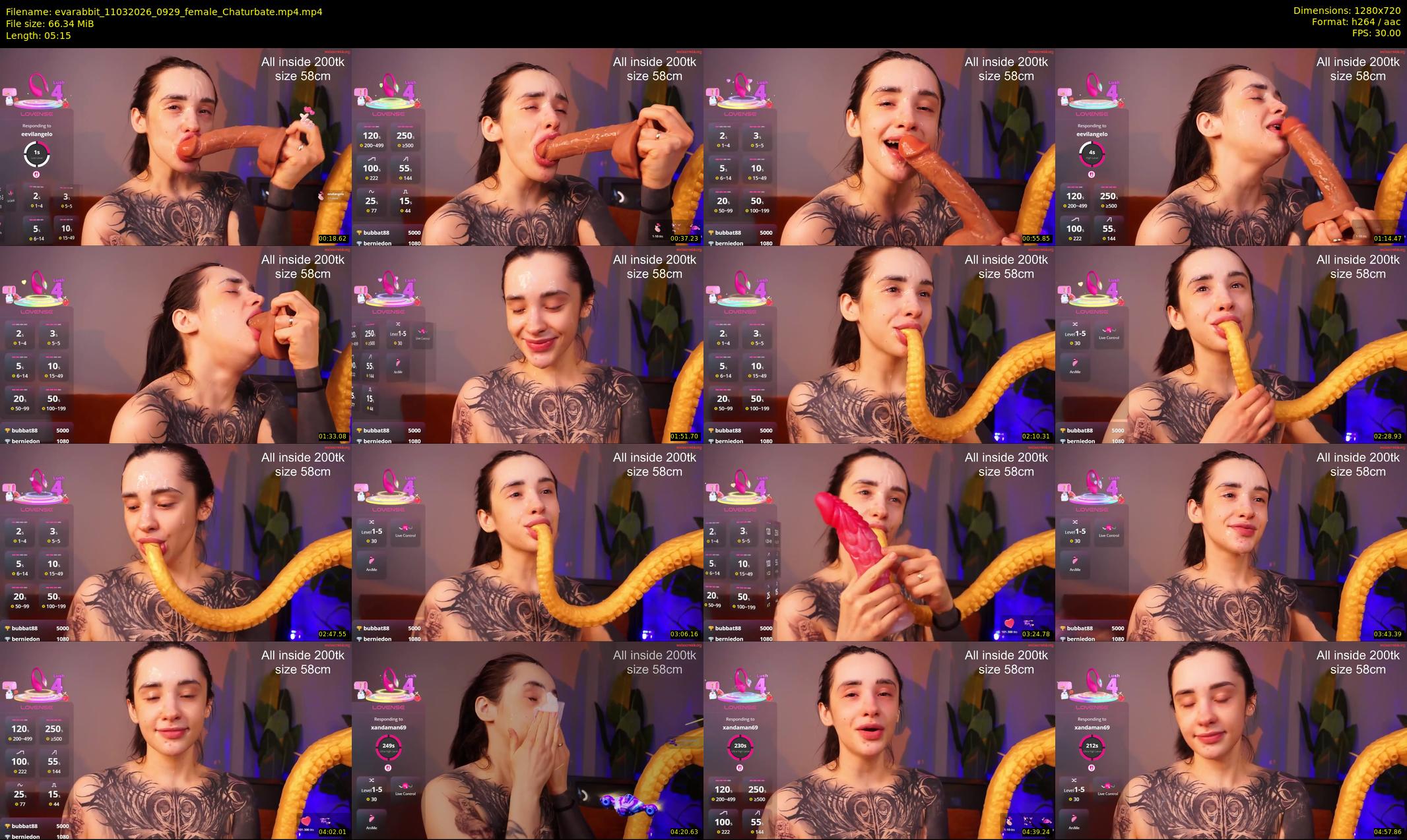 evarabbit — 6 minute Chaturbate female cam show recording, 720p, Mar 11, 2026