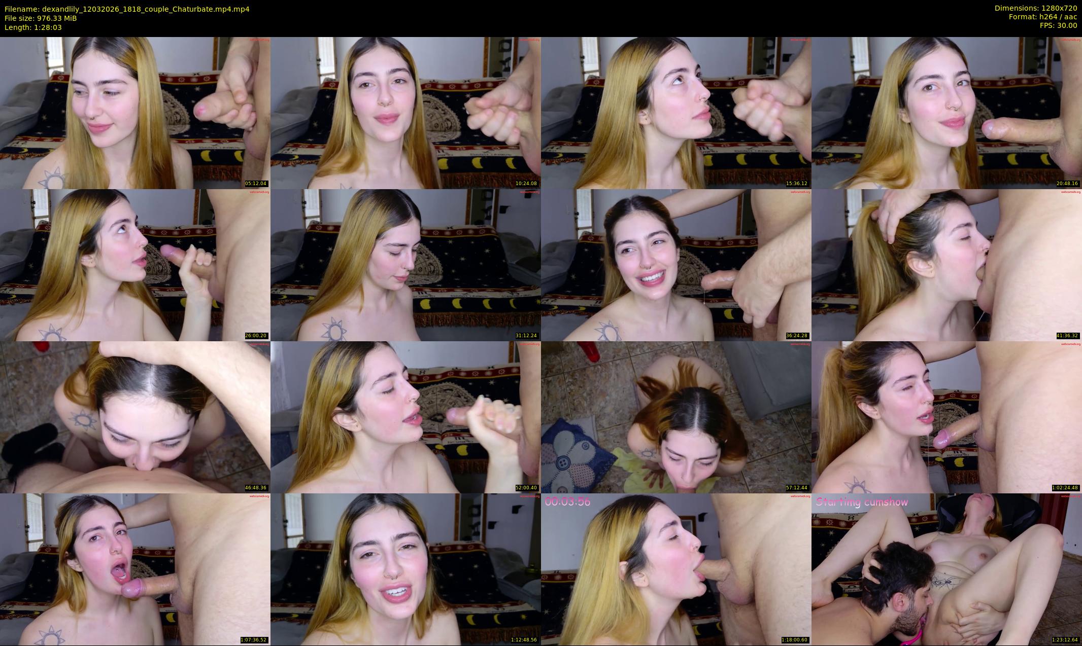 dexandlily — 89 minute Chaturbate couple cam show recording, 720p, Mar 12, 2026