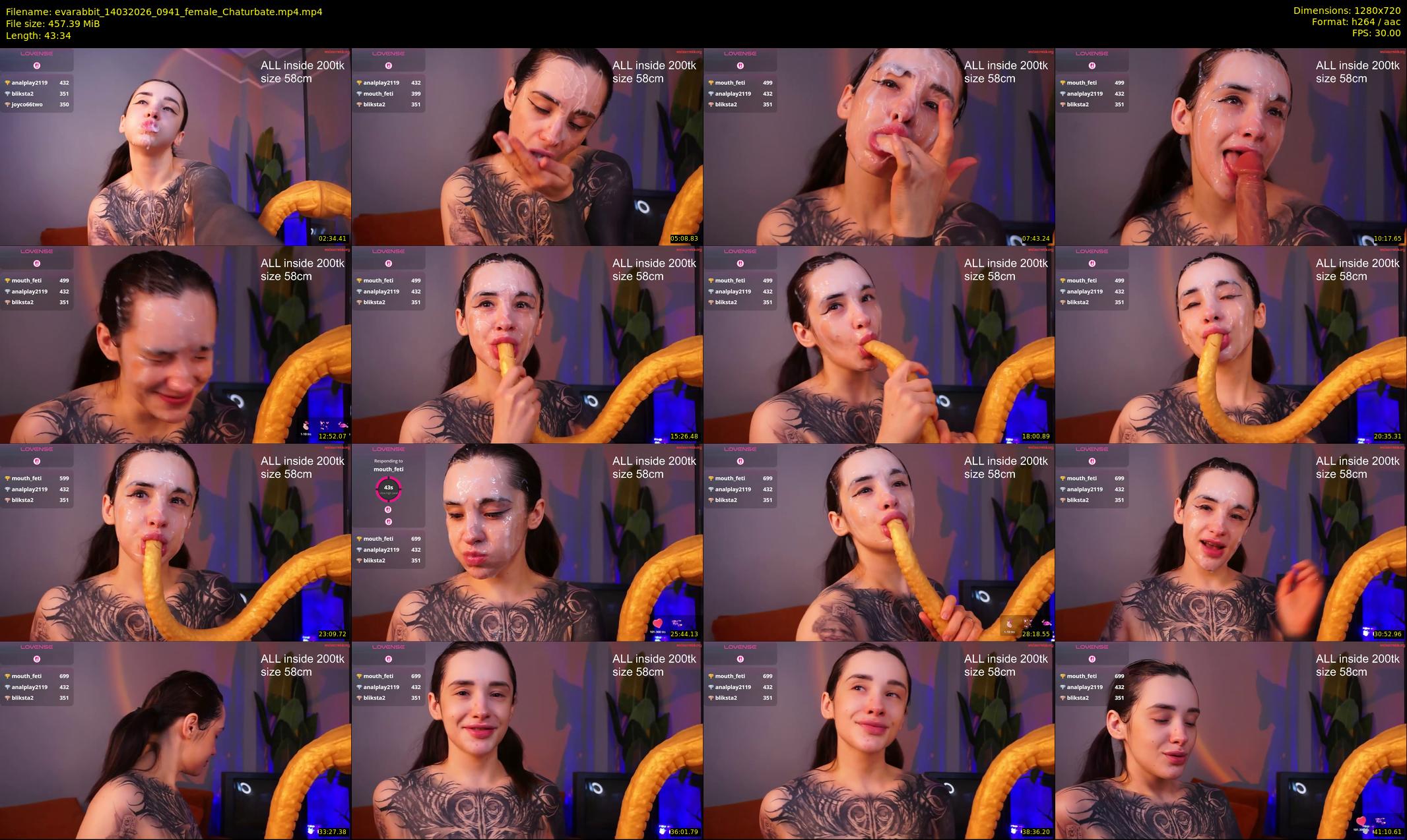 evarabbit — 44 minute Chaturbate female cam show recording, 720p, Mar 14, 2026