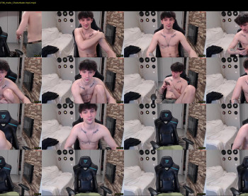 teddy_mode