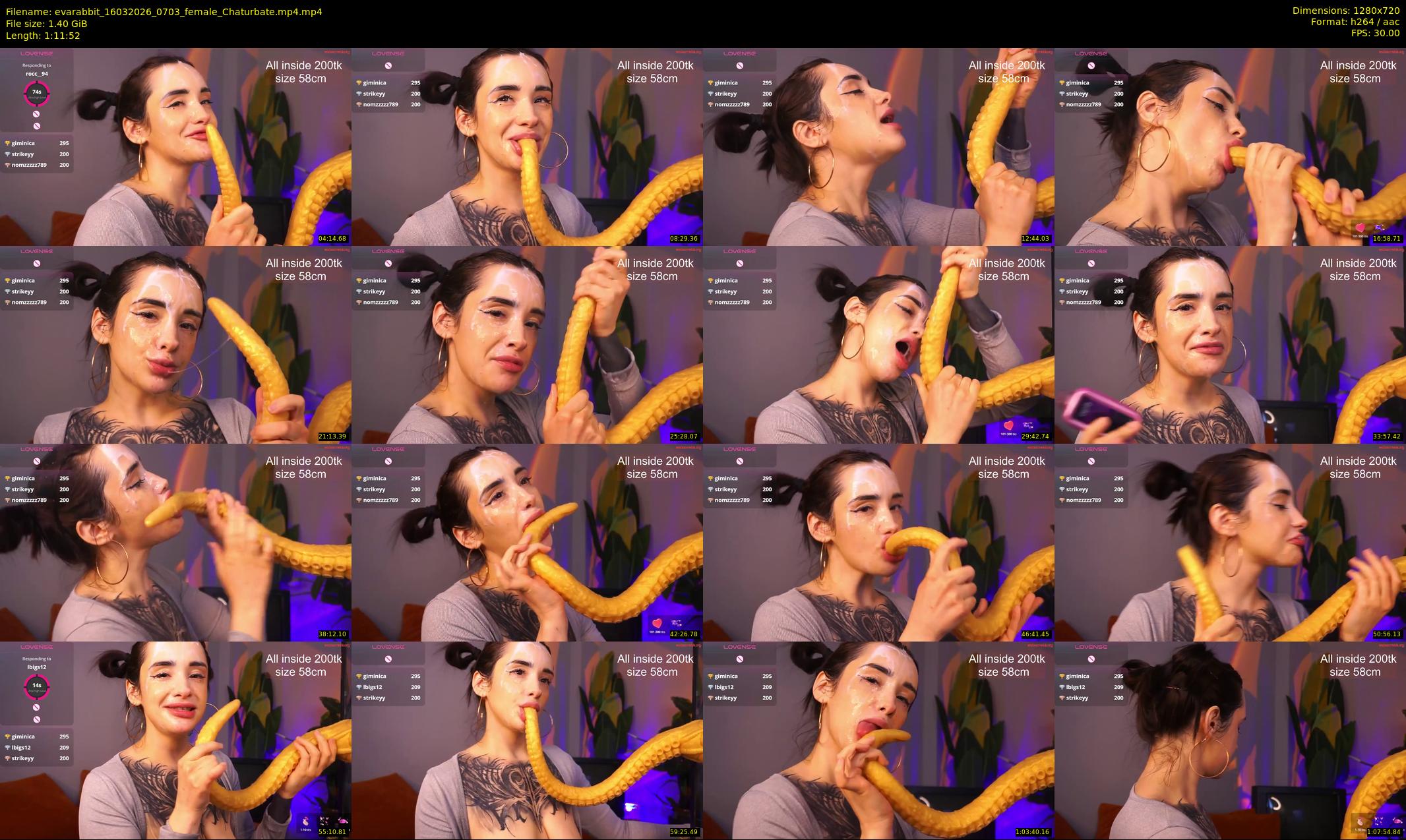 evarabbit — 72 minute Chaturbate female cam show recording, 720p, Mar 16, 2026