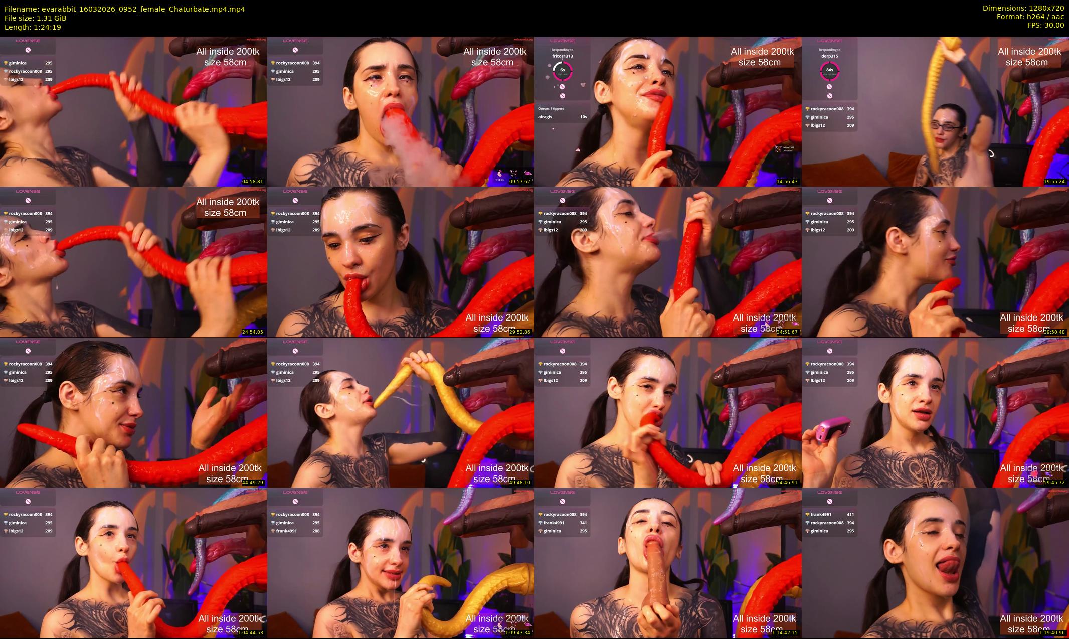 evarabbit — 85 minute Chaturbate female cam show recording, 720p, Mar 16, 2026