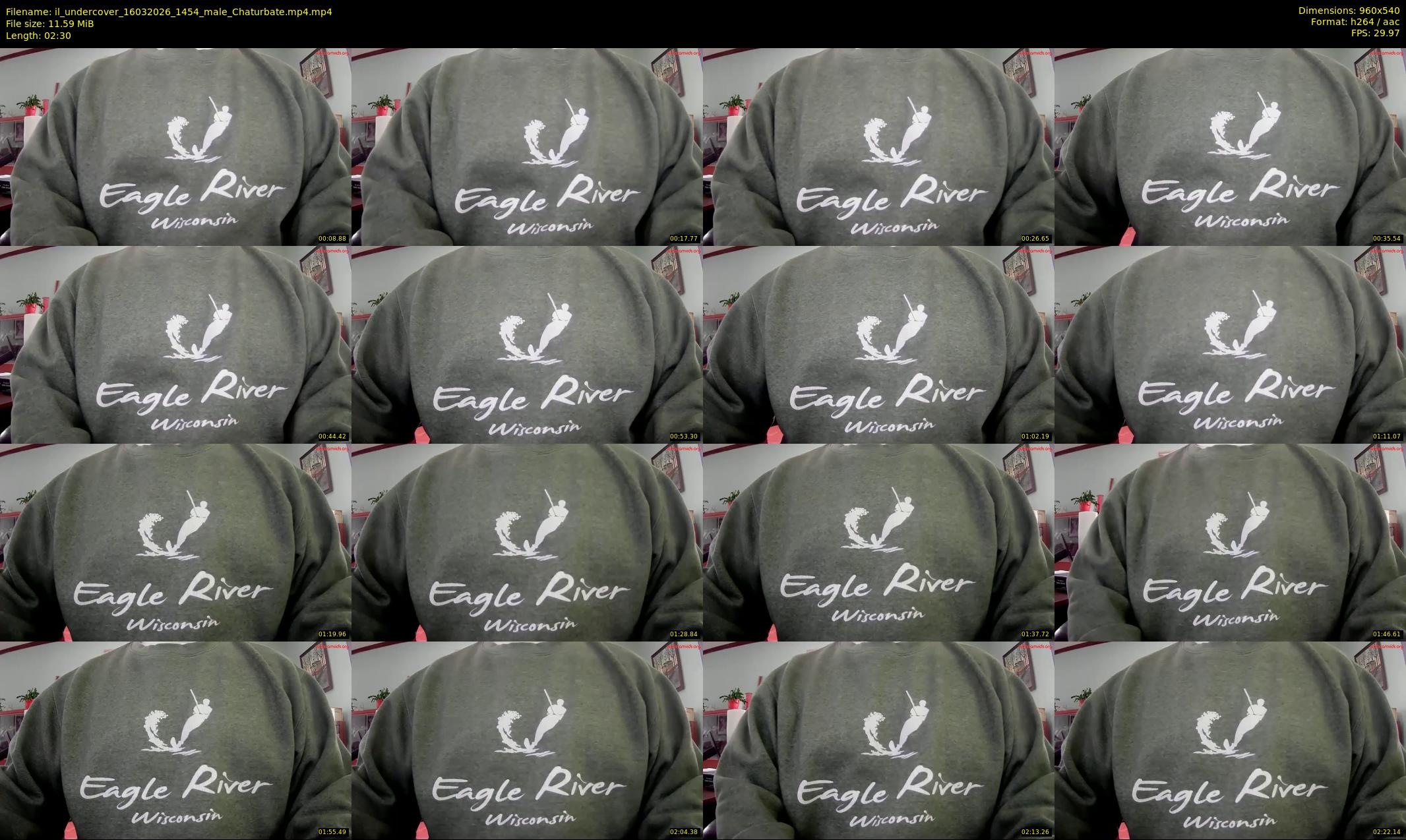 il_undercover — 3 minute Chaturbate male cam show recording, 480p, Mar 16, 2026