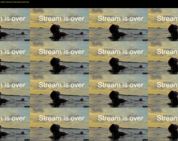 aurora_bunnie — 26 minute Chaturbate female cam show recording, 720p, Mar 17, 2026