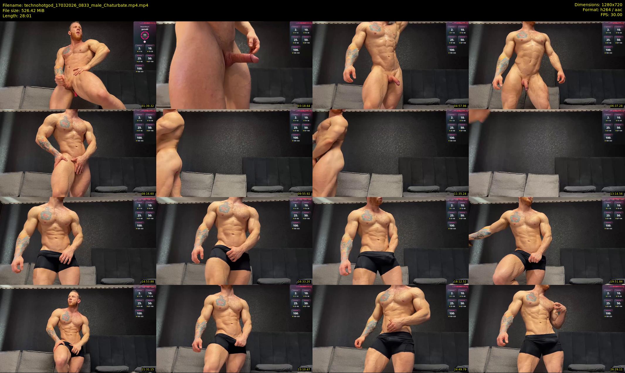 technohotgod — 29 minute Chaturbate male cam show recording, 720p, Mar 17, 2026