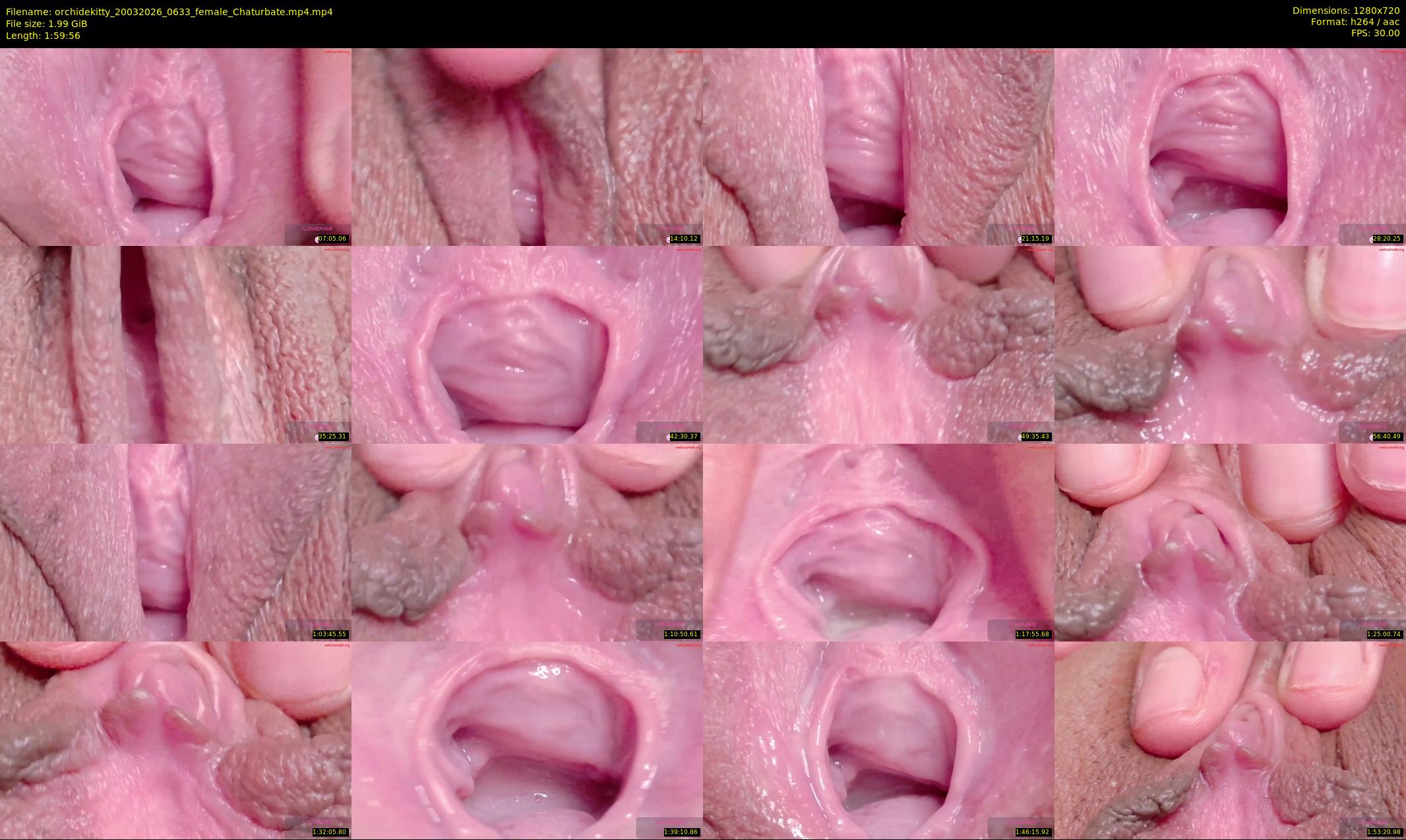 orchidekitty — 120 minute Chaturbate female cam show recording, 720p, Mar 20, 2026