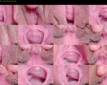 orchidekitty — 120 minute Chaturbate female cam show recording, 720p, Mar 20, 2026