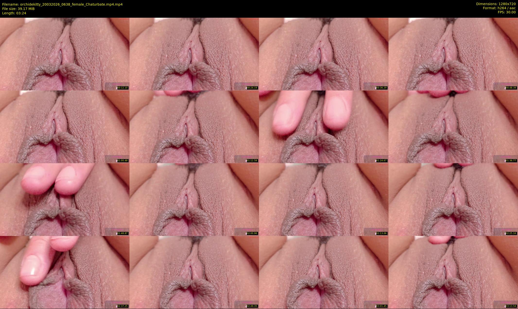 orchidekitty — 4 minute Chaturbate female cam show recording, 720p, Mar 20, 2026
