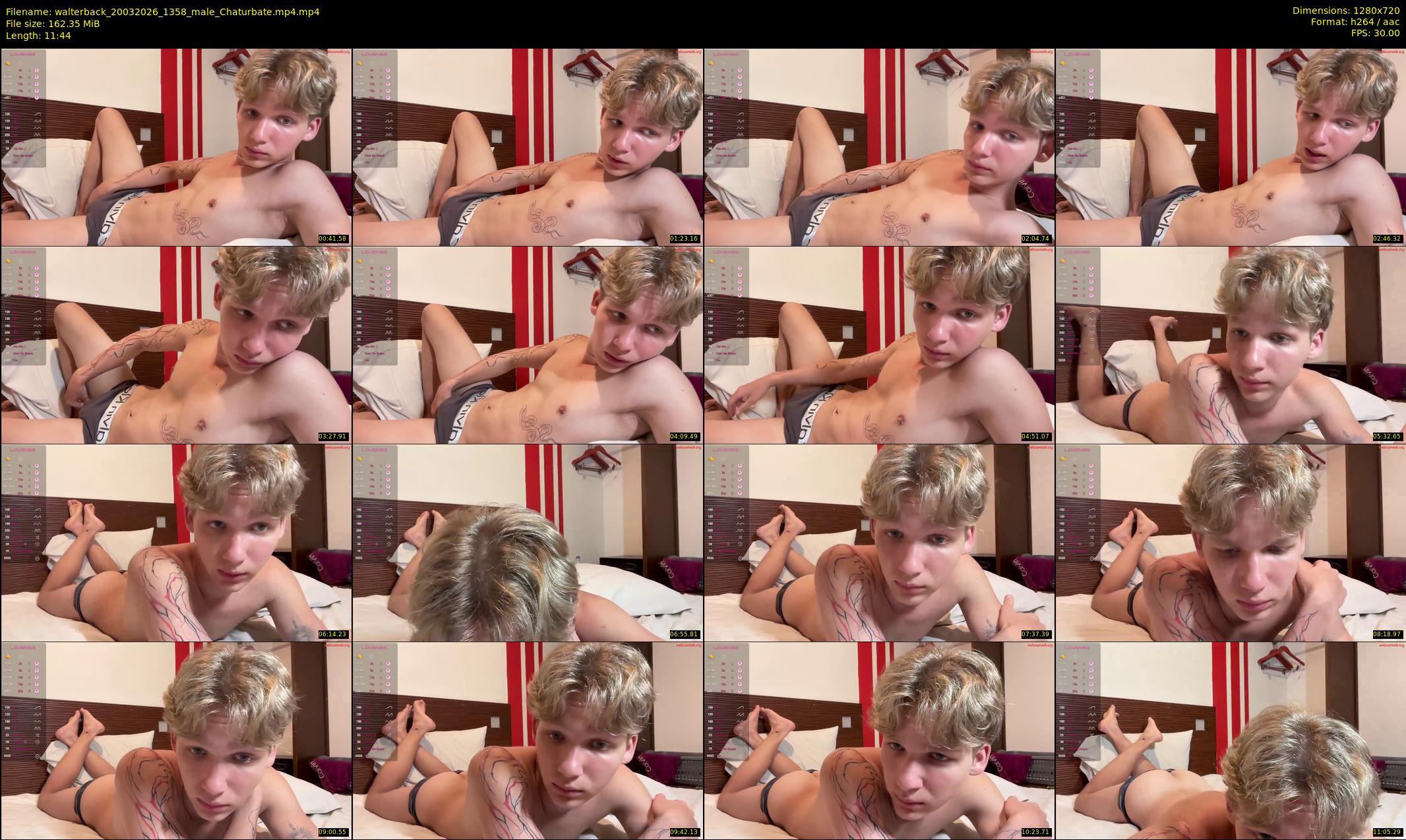 walterback — 12 minute Chaturbate male cam show recording, 720p, Mar 20, 2026