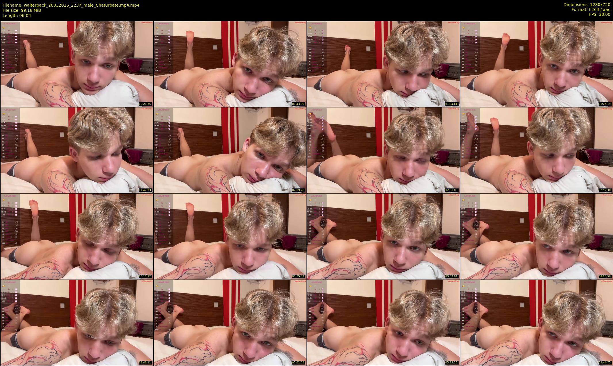 walterback — 7 minute Chaturbate male cam show recording, 720p, Mar 20, 2026
