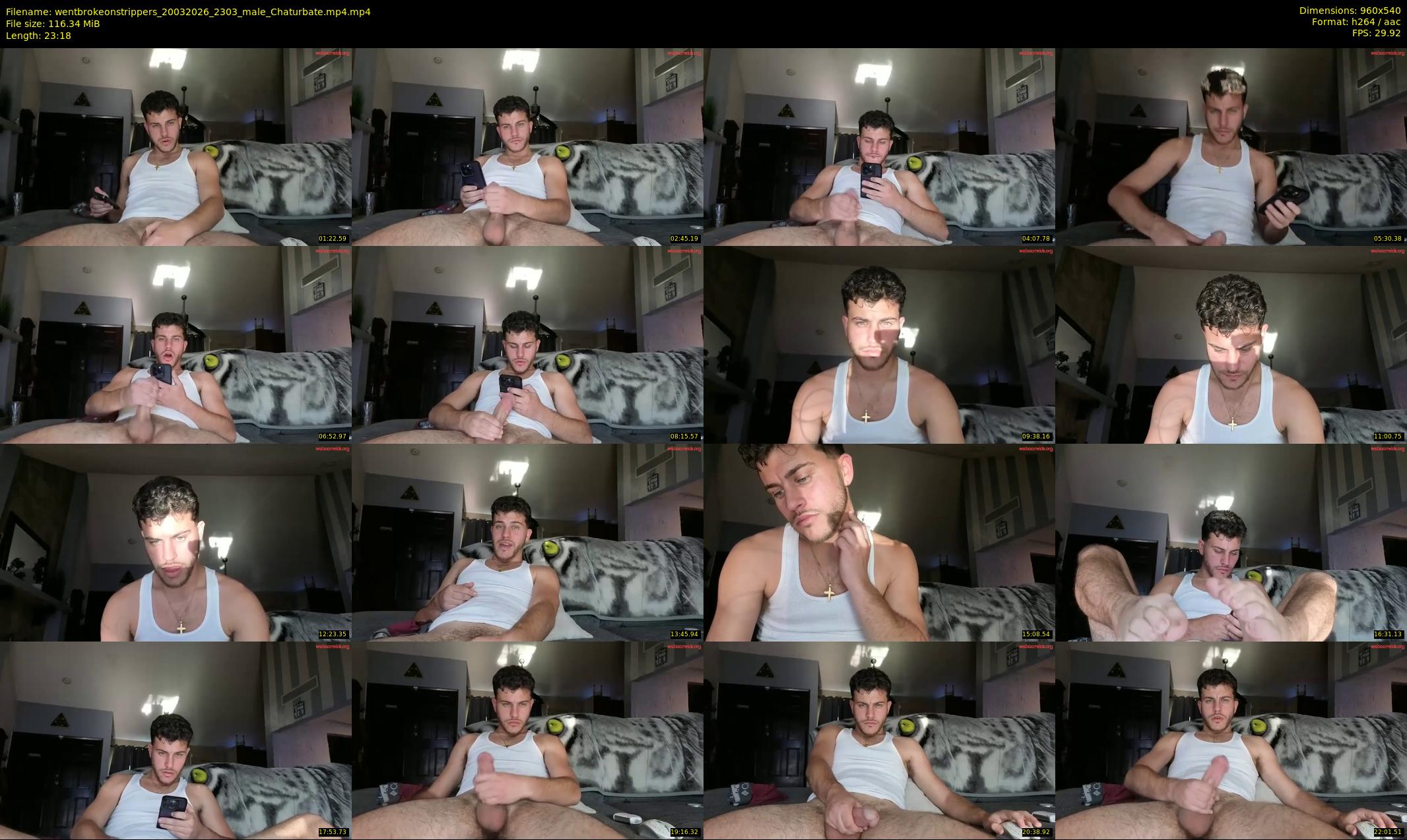 wentbrokeonstrippers — 24 minute Chaturbate male cam show recording, 480p, Mar 20, 2026