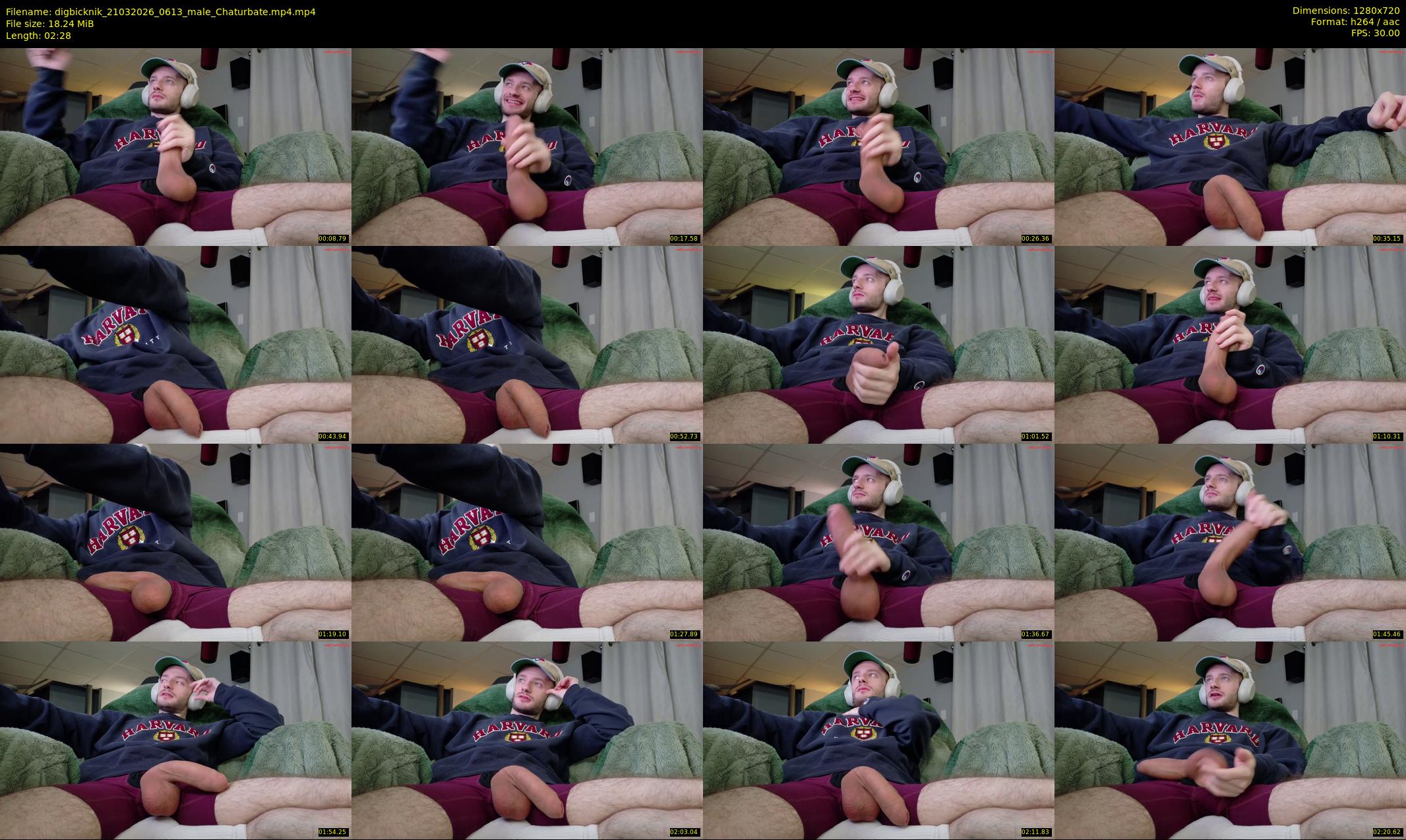 digbicknik — 3 minute Chaturbate male cam show recording, 720p, Mar 21, 2026