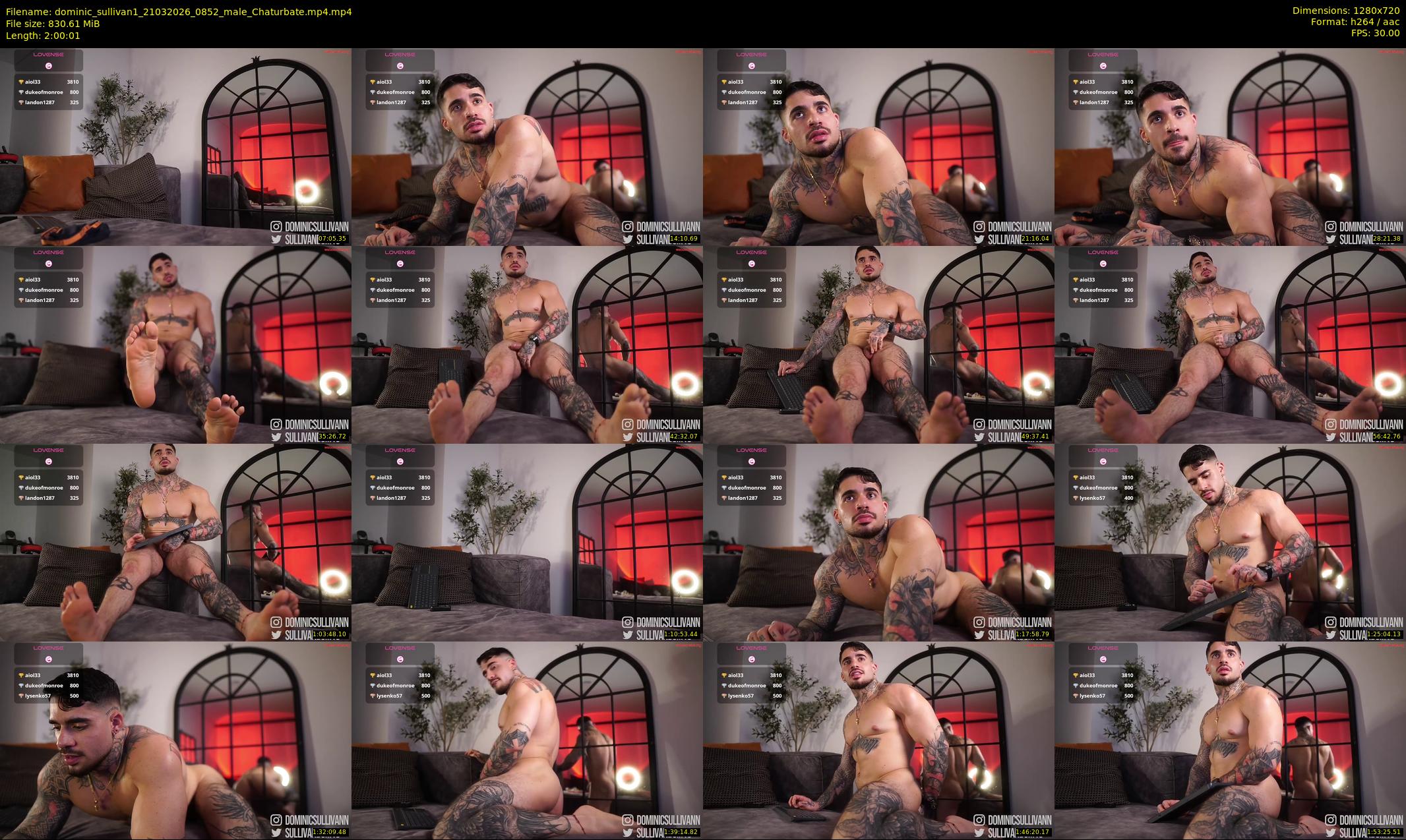 dominic_sullivan1 — 121 minute Chaturbate male cam show recording, 720p, Mar 21, 2026