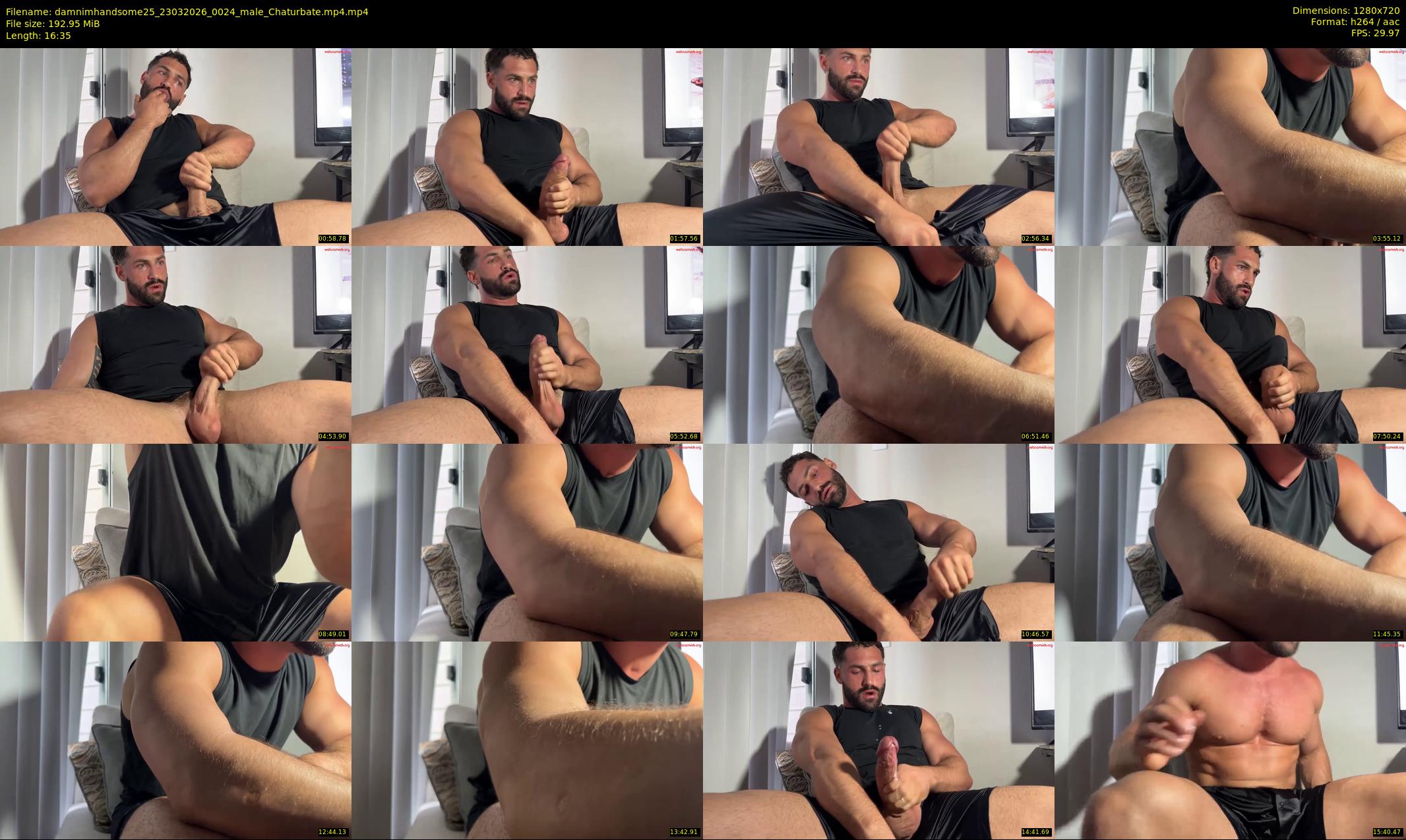 damnimhandsome25 — 17 minute Chaturbate male cam show recording, 720p, Mar 23, 2026