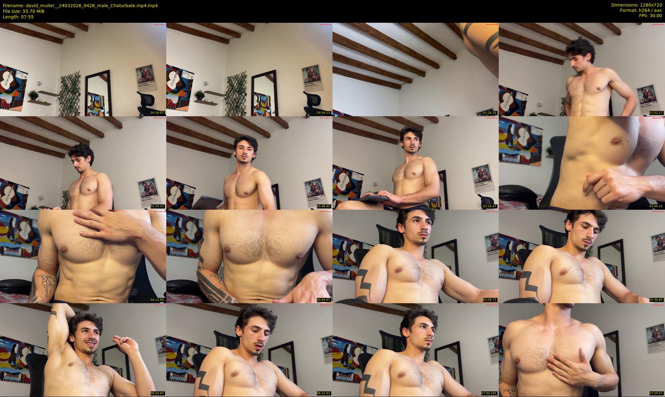 david_muller_ — 8 minute Chaturbate male cam show recording, 720p, Mar 24, 2026