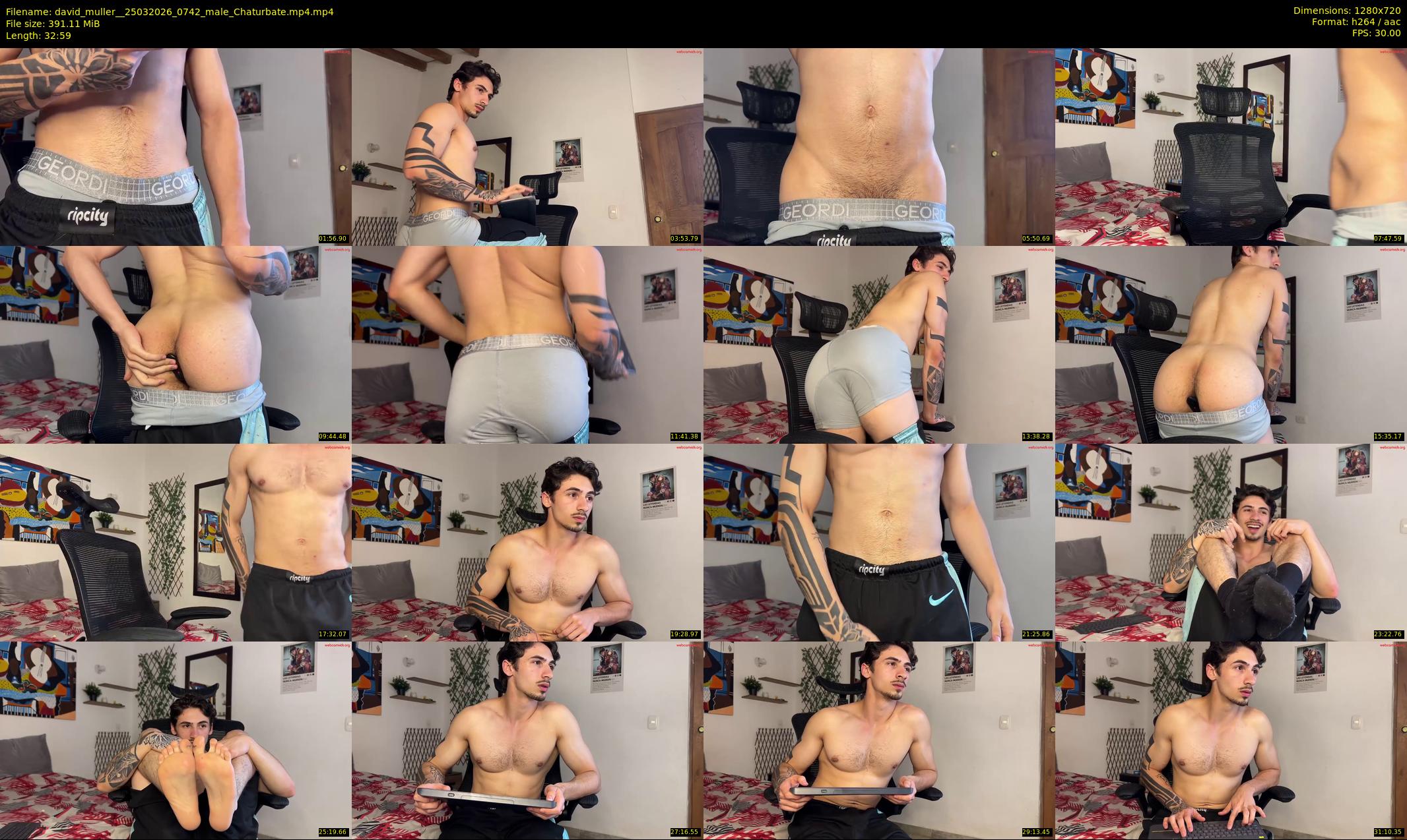 david_muller_ — 33 minute Chaturbate male cam show recording, 720p, Mar 25, 2026