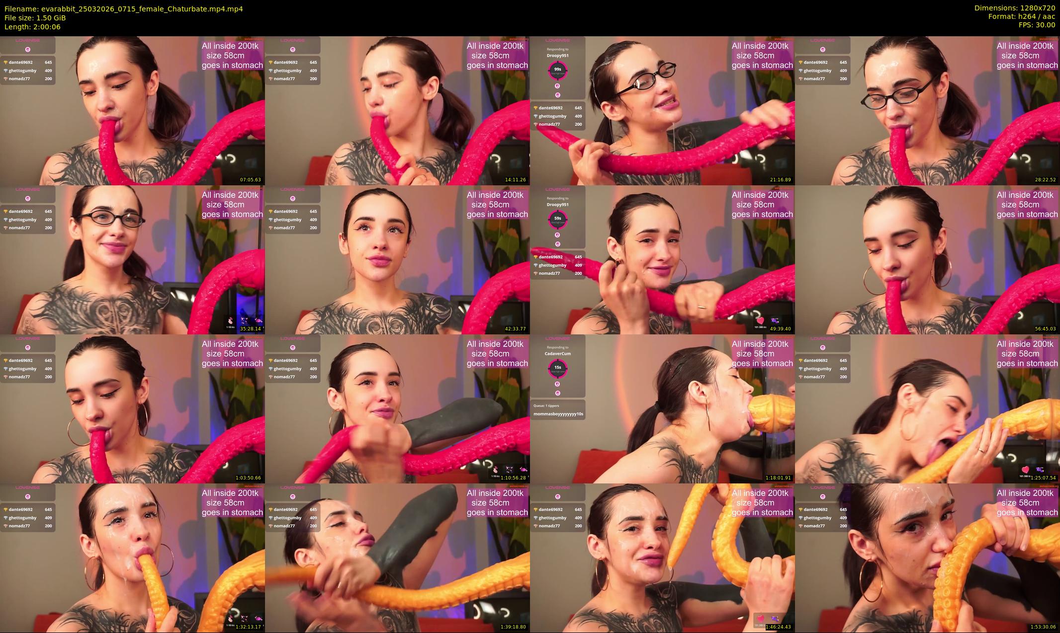 evarabbit — 121 minute Chaturbate female cam show recording, 720p, Mar 25, 2026