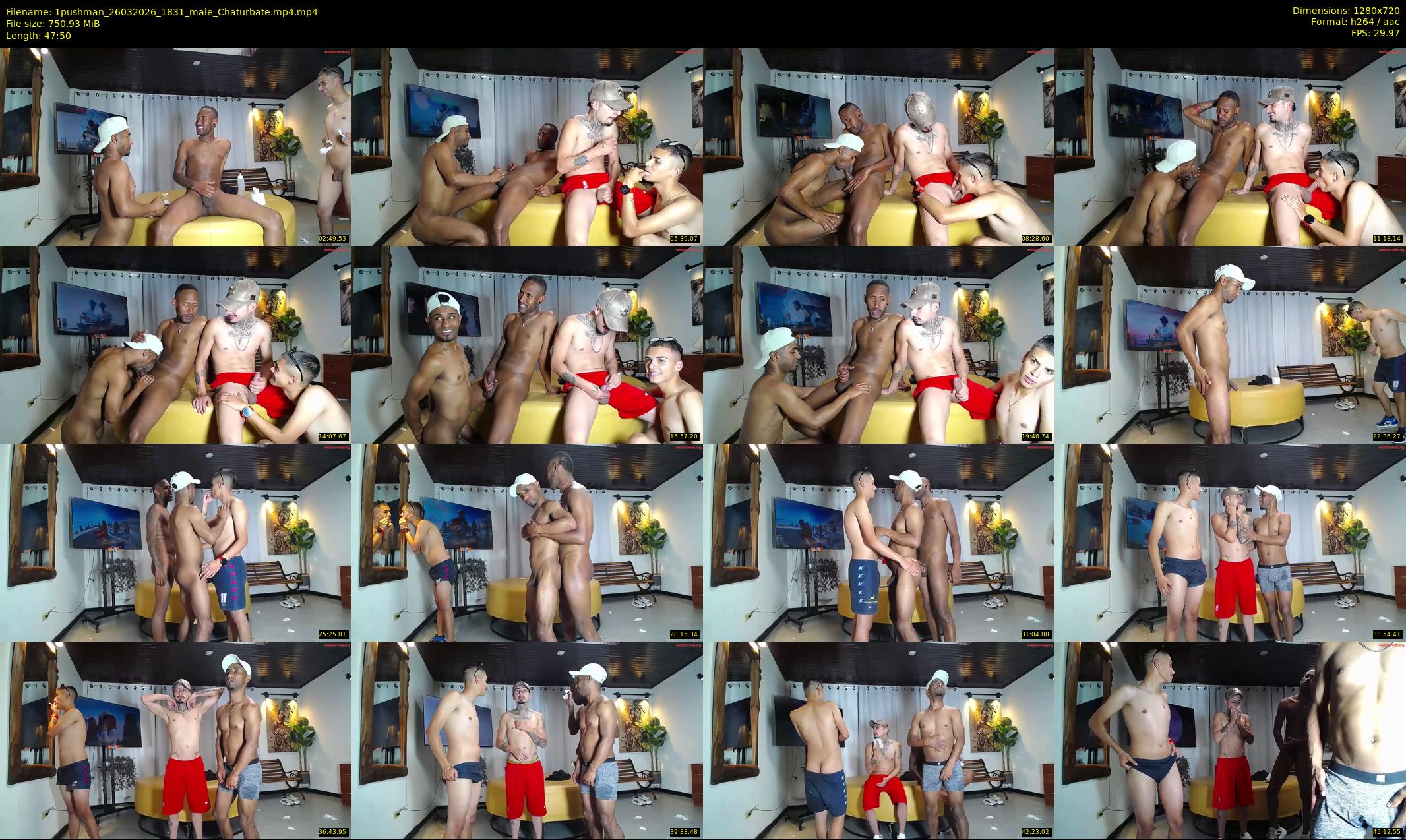 1pushman — 48 minute Chaturbate male cam show recording, 720p, Mar 26, 2026