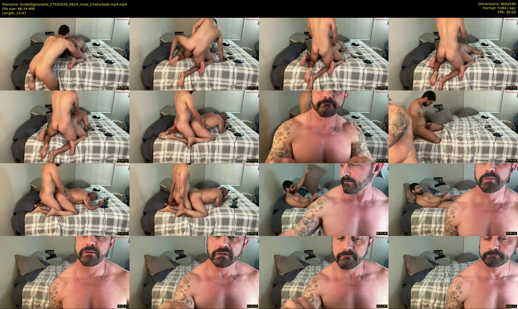 bustedsprockets — 14 minute Chaturbate male cam show recording, 480p, Mar 27, 2026