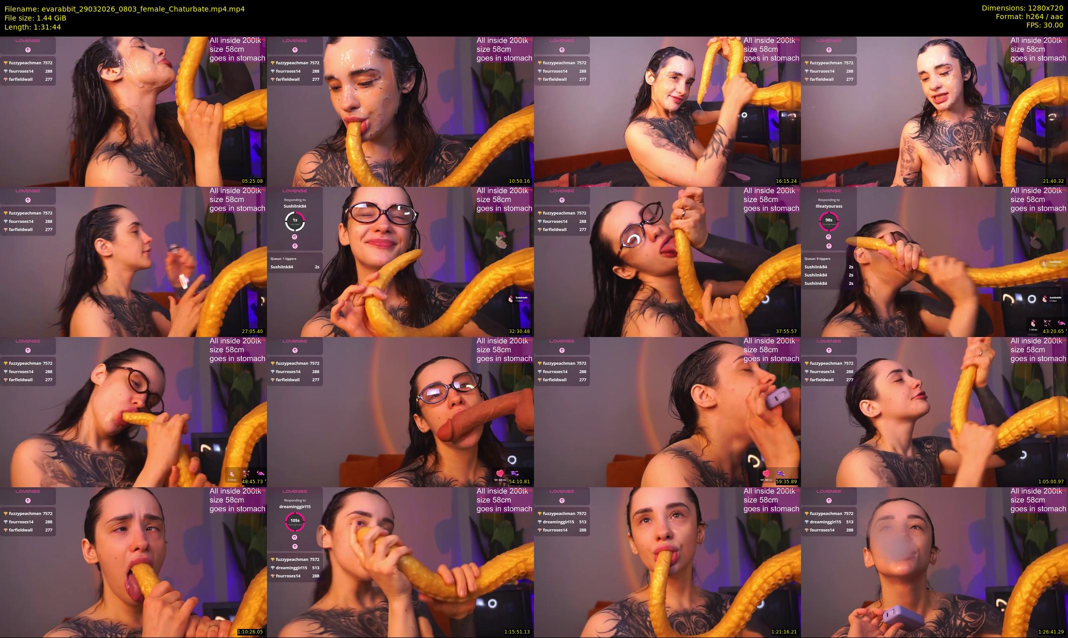 evarabbit — 92 minute Chaturbate female cam show recording, 720p, Mar 29, 2026