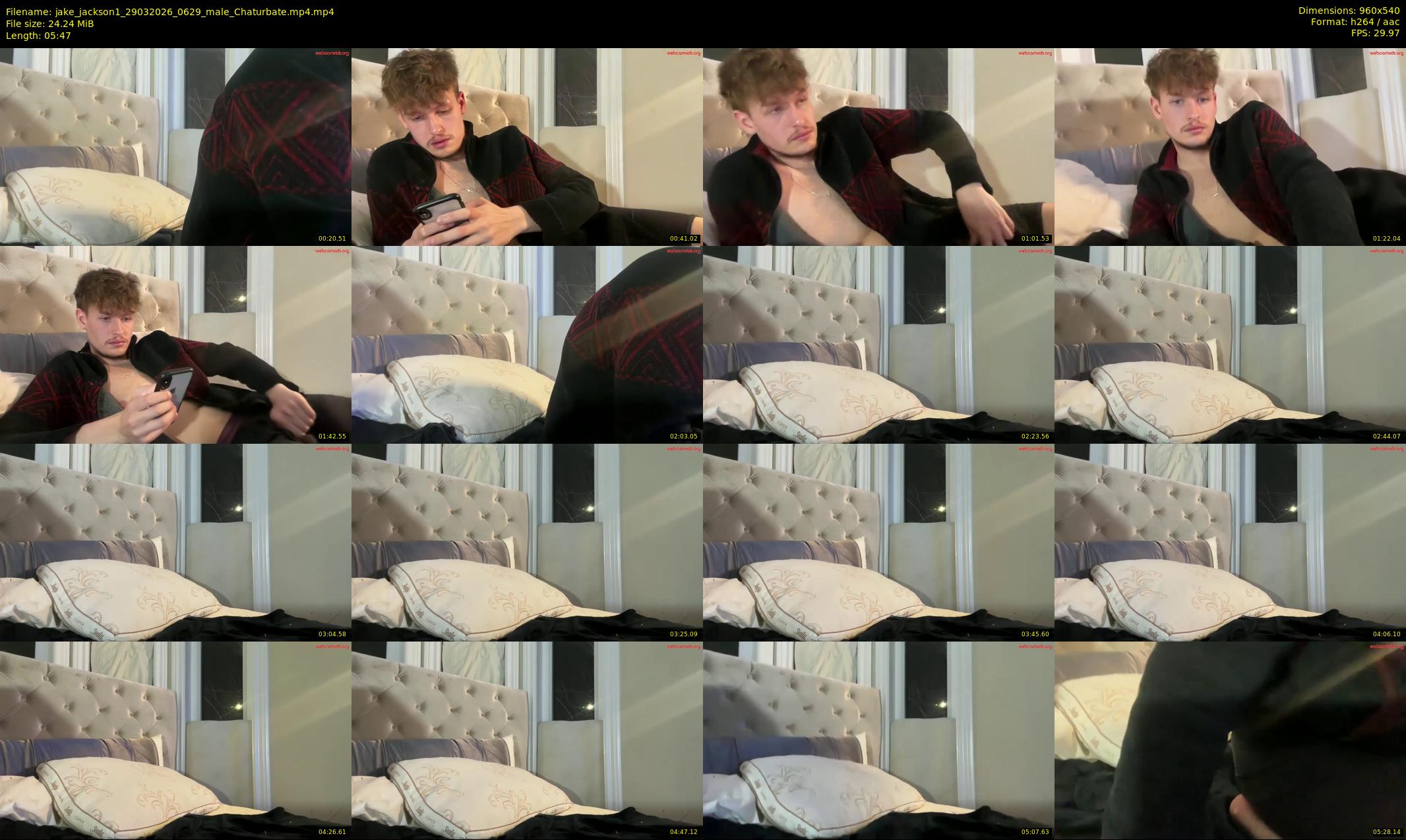 jake_jackson1 — 6 minute Chaturbate male cam show recording, 480p, Mar 29, 2026