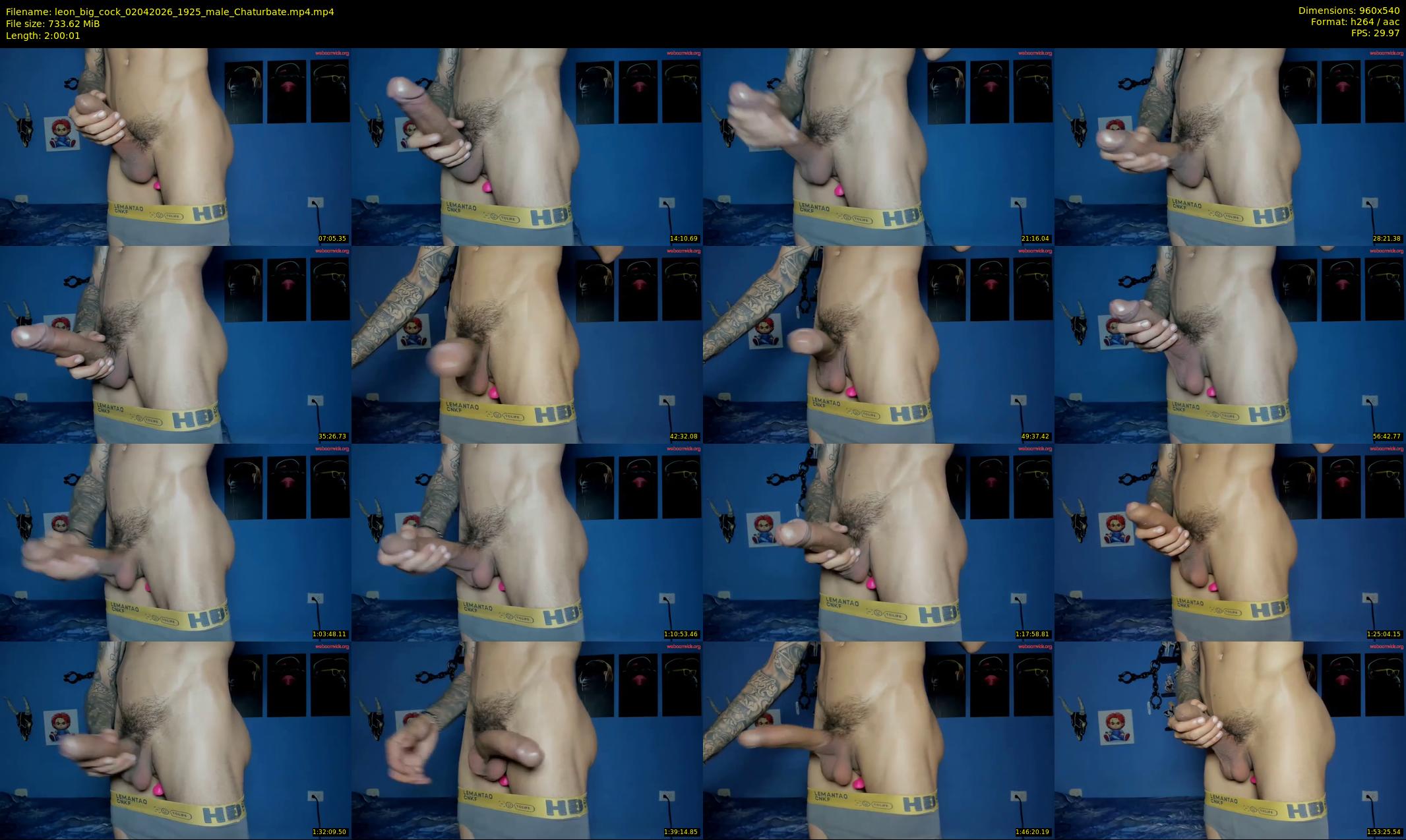 leon_big_cock — 121 minute Chaturbate male cam show recording, 480p, Apr 2, 2026