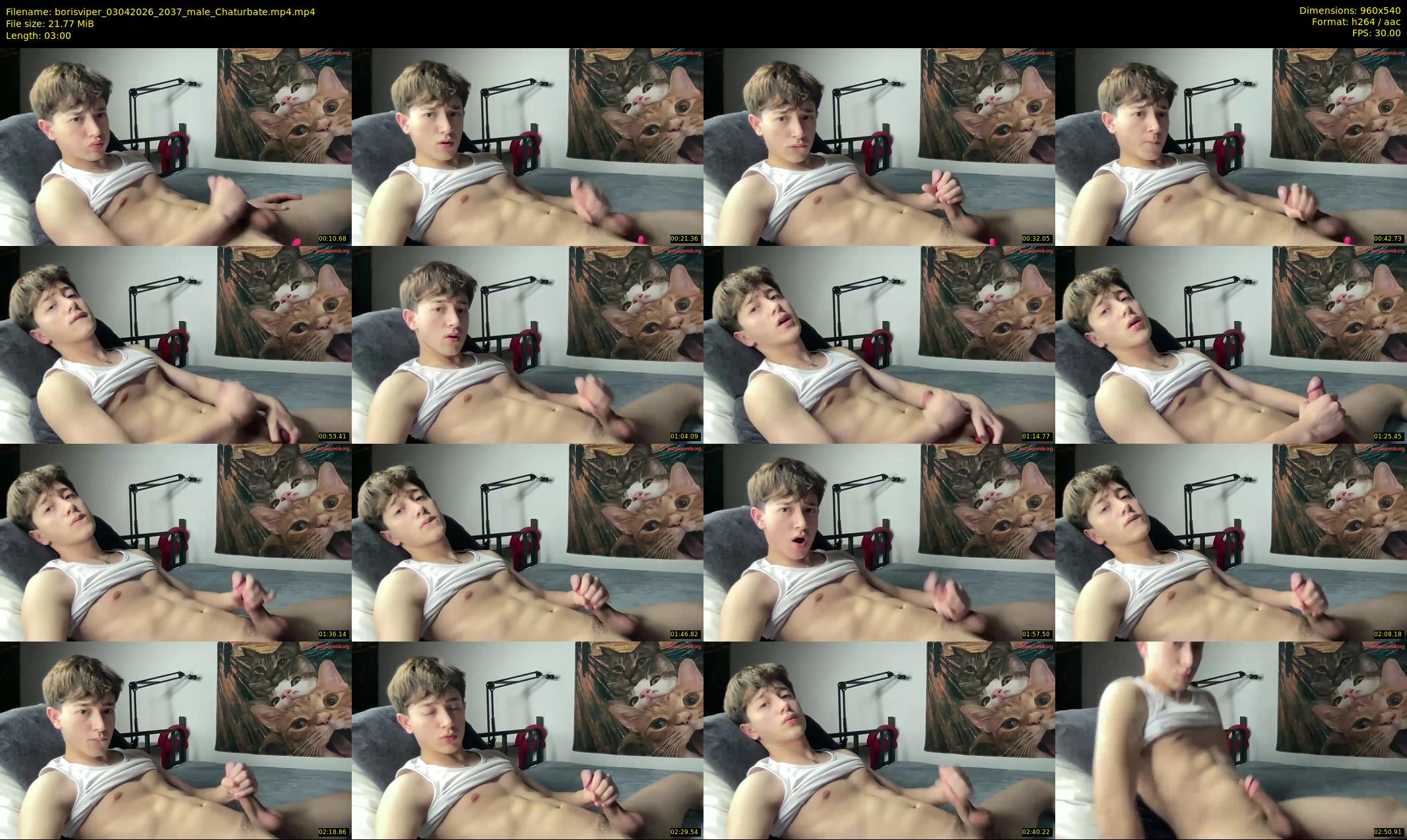 borisviper — 3 minute Chaturbate male cam show recording, 480p, Apr 3, 2026