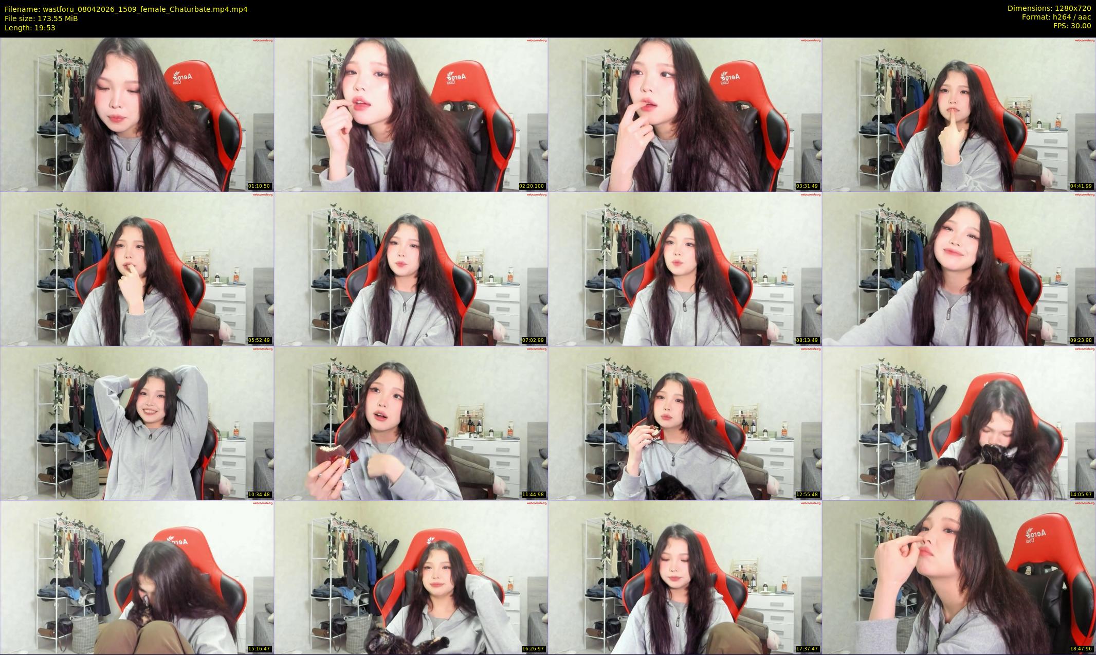 wastforu — 20 minute Chaturbate female cam show recording, 720p, Apr 8, 2026