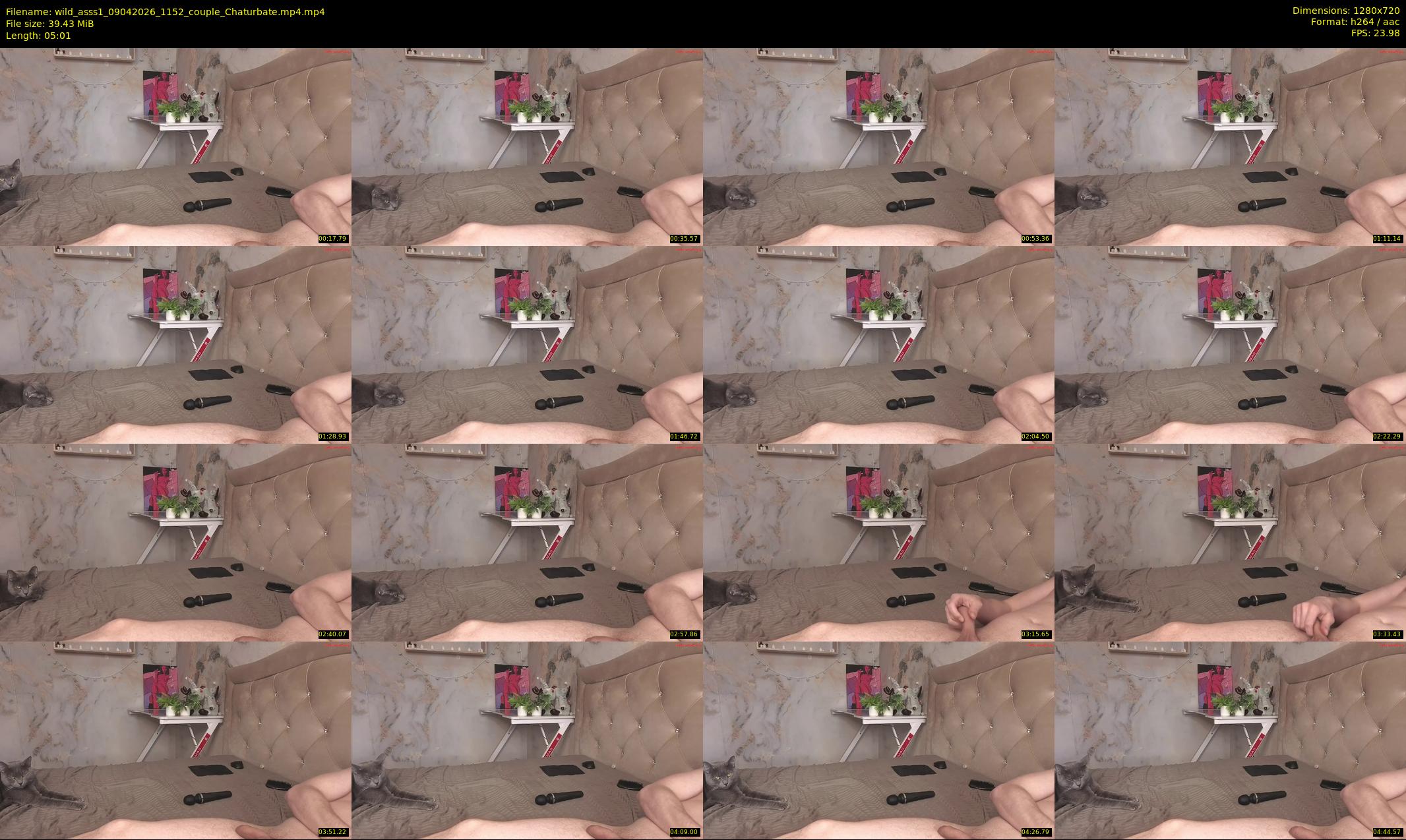 wild_asss1 — 6 minute Chaturbate couple cam show recording, 720p, Apr 9, 2026