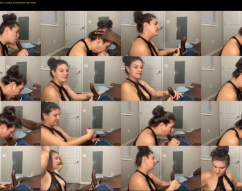 shatnerded — 8 minute Chaturbate couple cam show recording, 720p, Apr 13, 2026