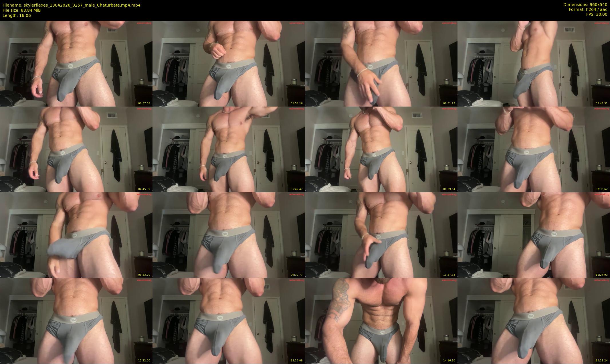 skylerflexes — 17 minute Chaturbate male cam show recording, 480p, Apr 13, 2026