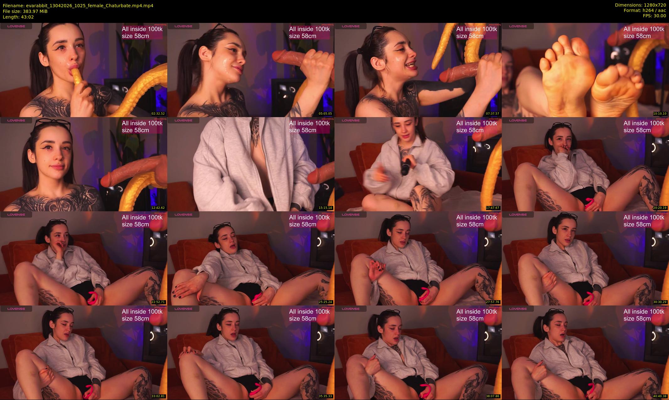 evarabbit — 44 minute Chaturbate female cam show recording, 720p, Apr 13, 2026